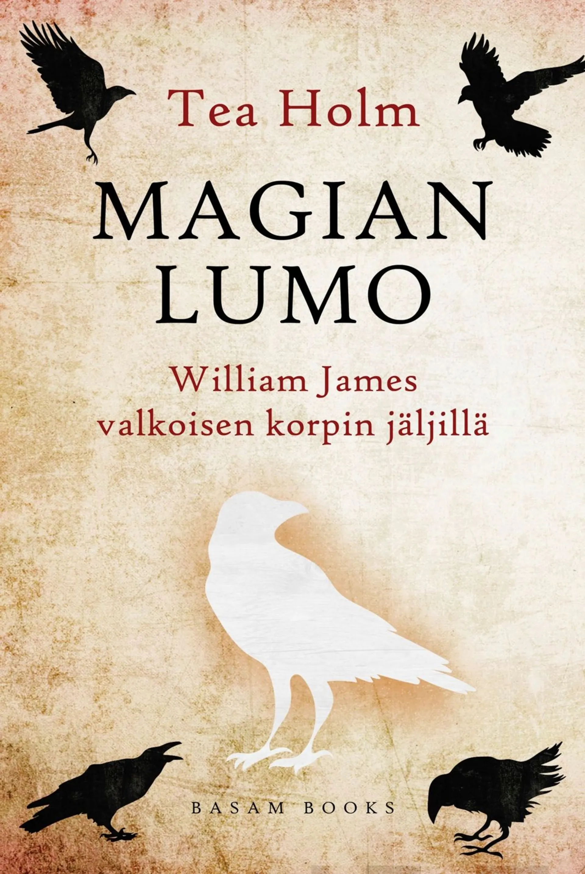 Holm, Magian lumo - William James valkoisen korpin jäljillä