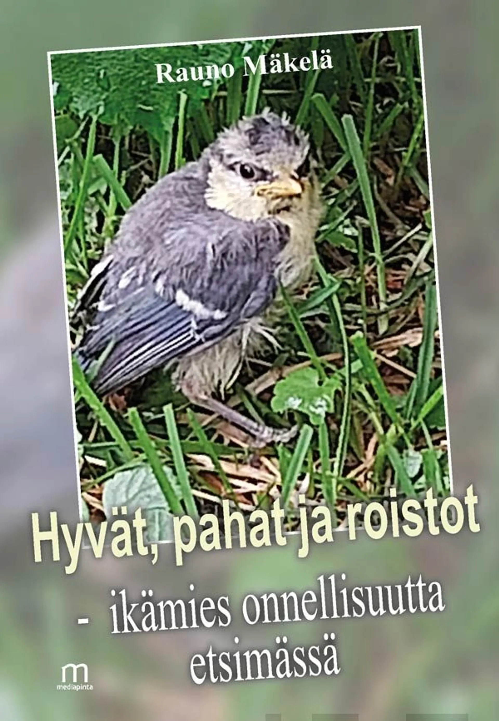 Mäkelä Rauno, Hyvät, pahat ja roistot