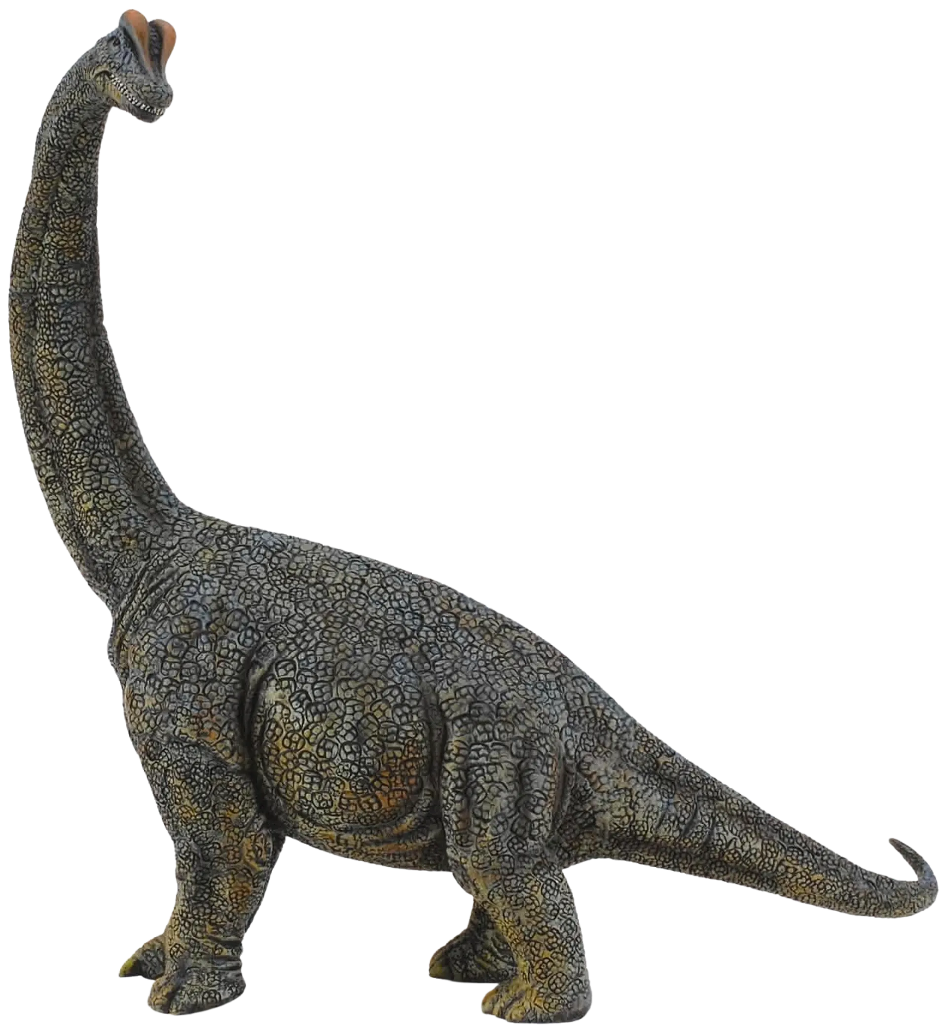 CollectA lelu Brachiosaurus Deluxe 1:40 Scale