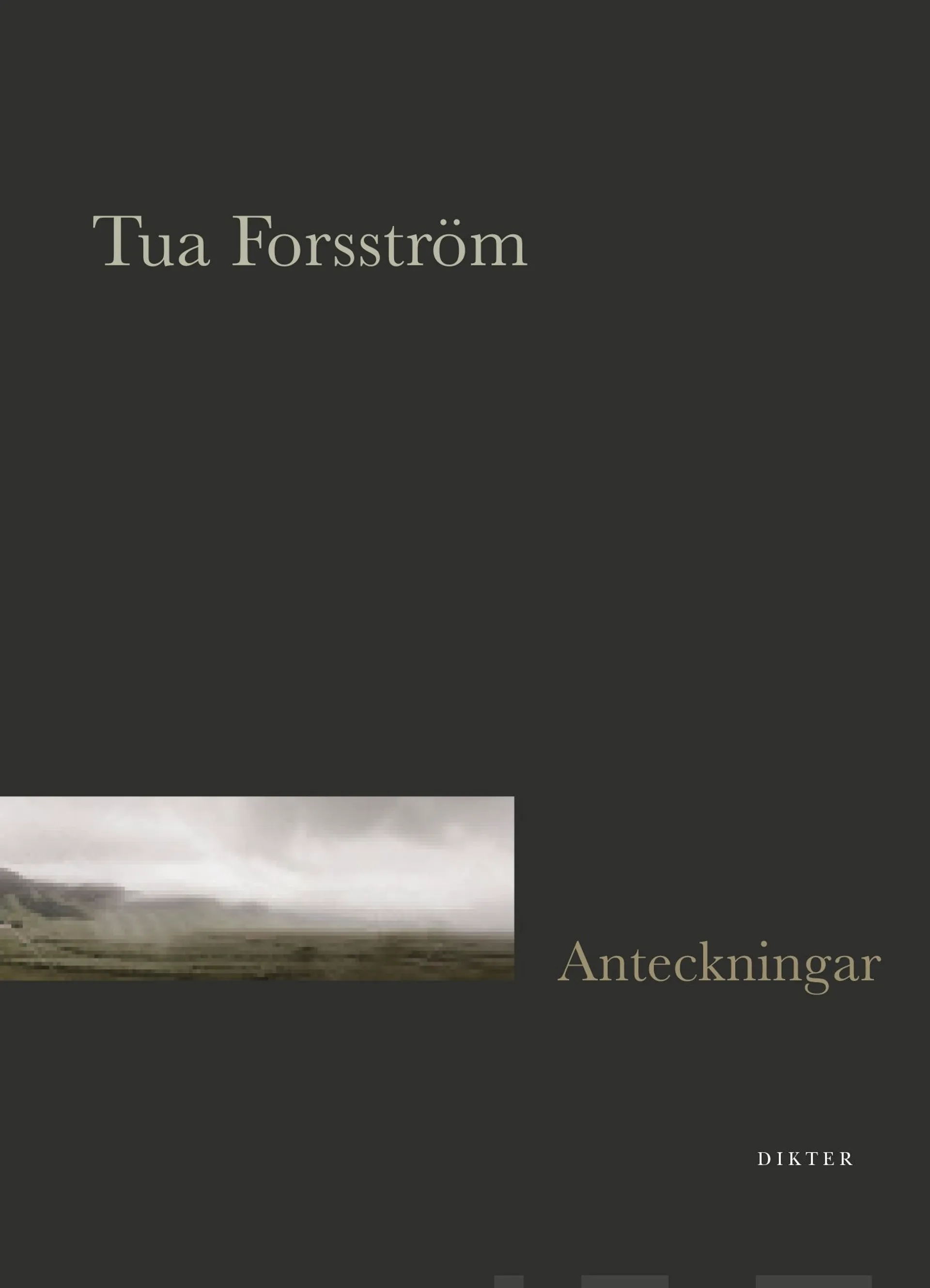 Forsström, Anteckningar