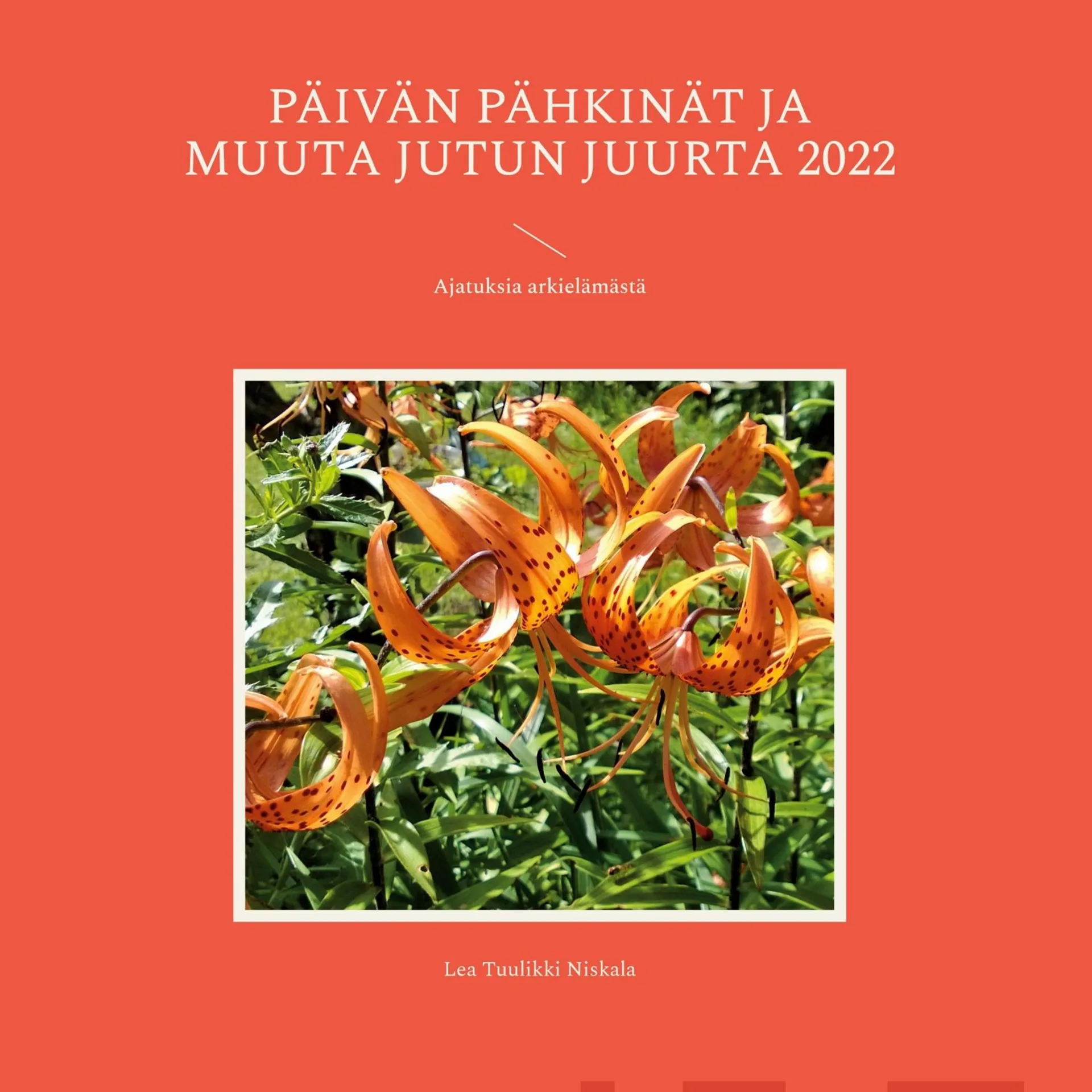 Niskala, Päivän pähkinät ja muuta jutun juurta 2022 - Ajatuksia arkielämästä