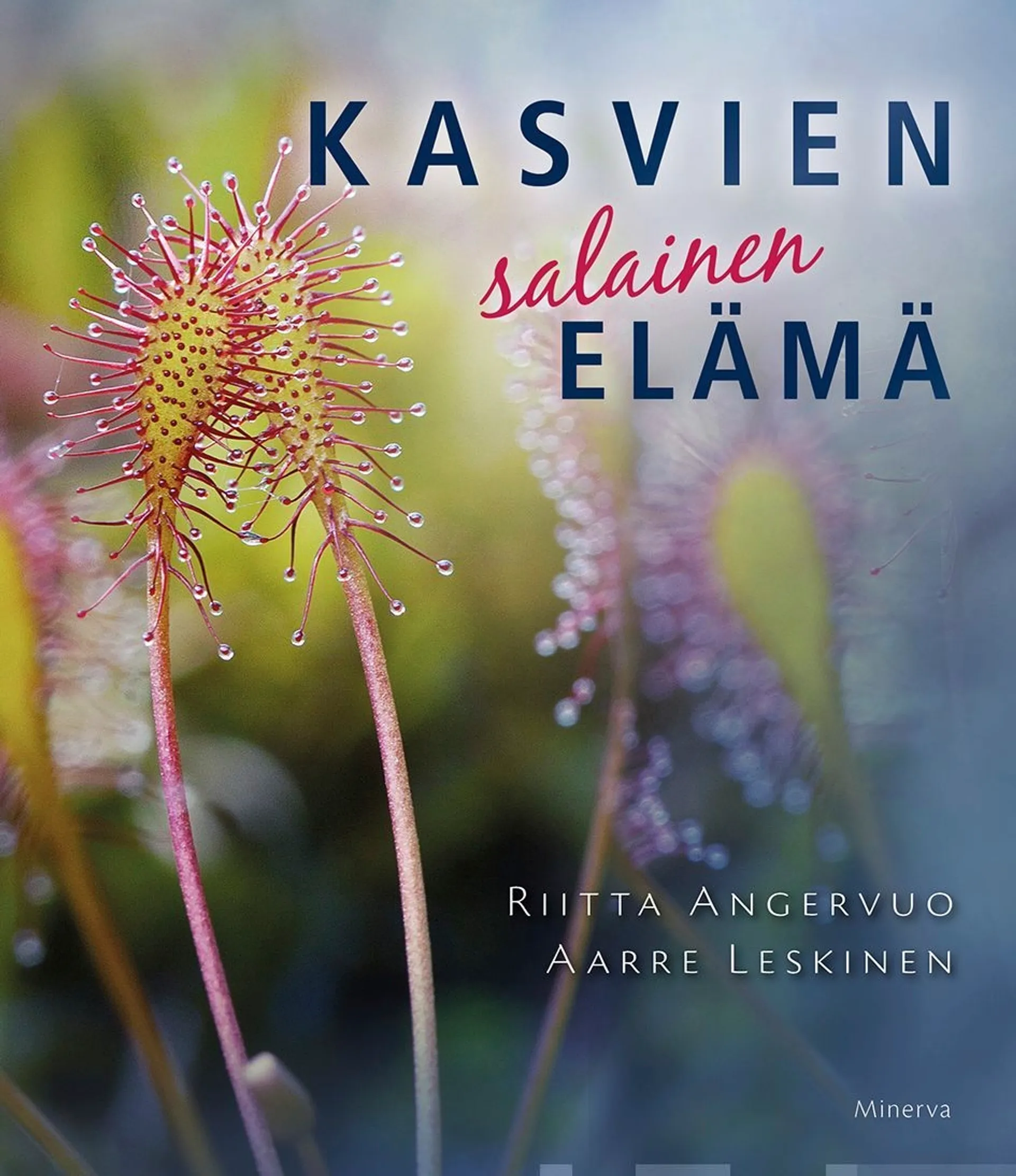 Angervuo, Kasvien salainen elämä