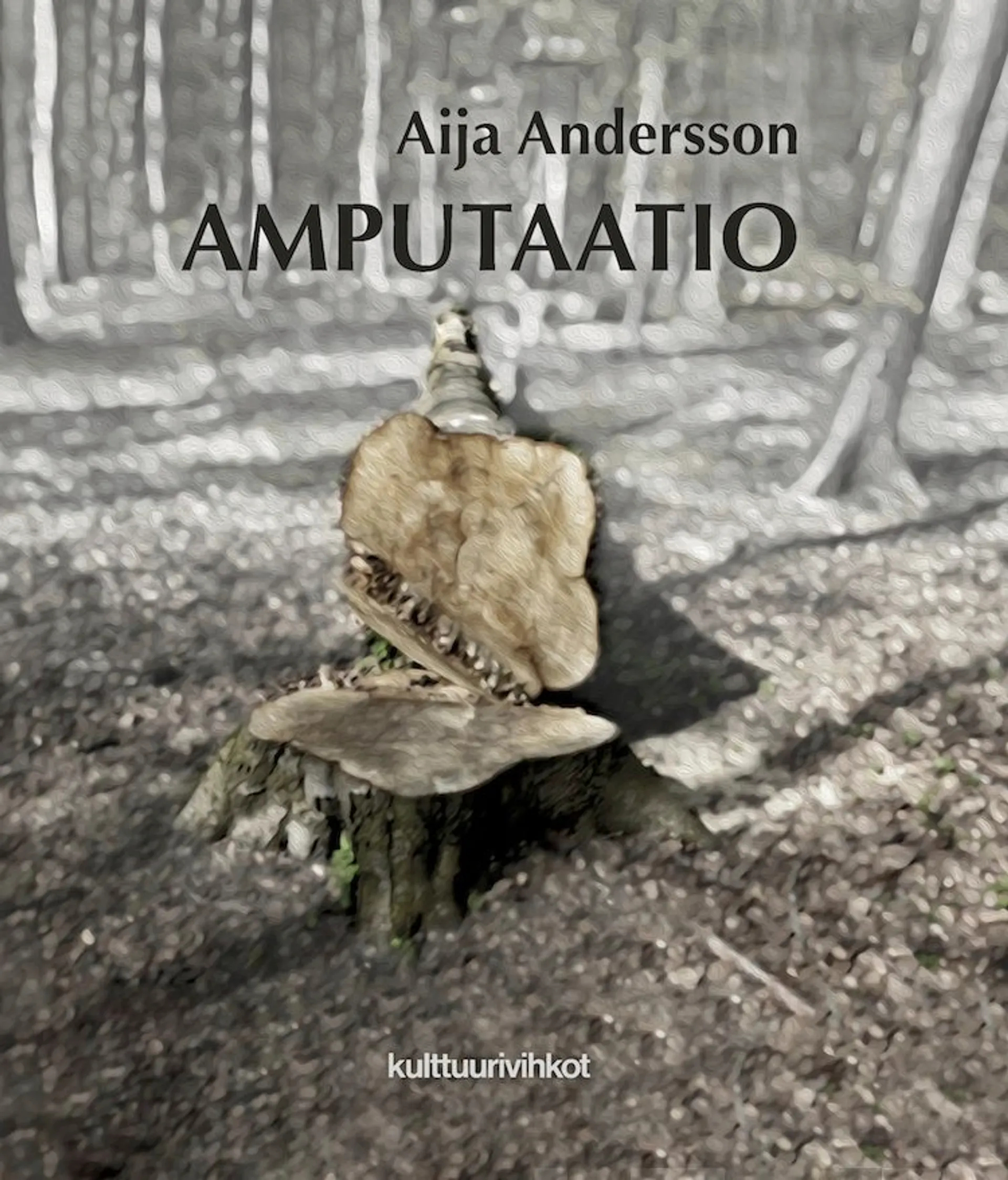 Andersson, Amputaatio