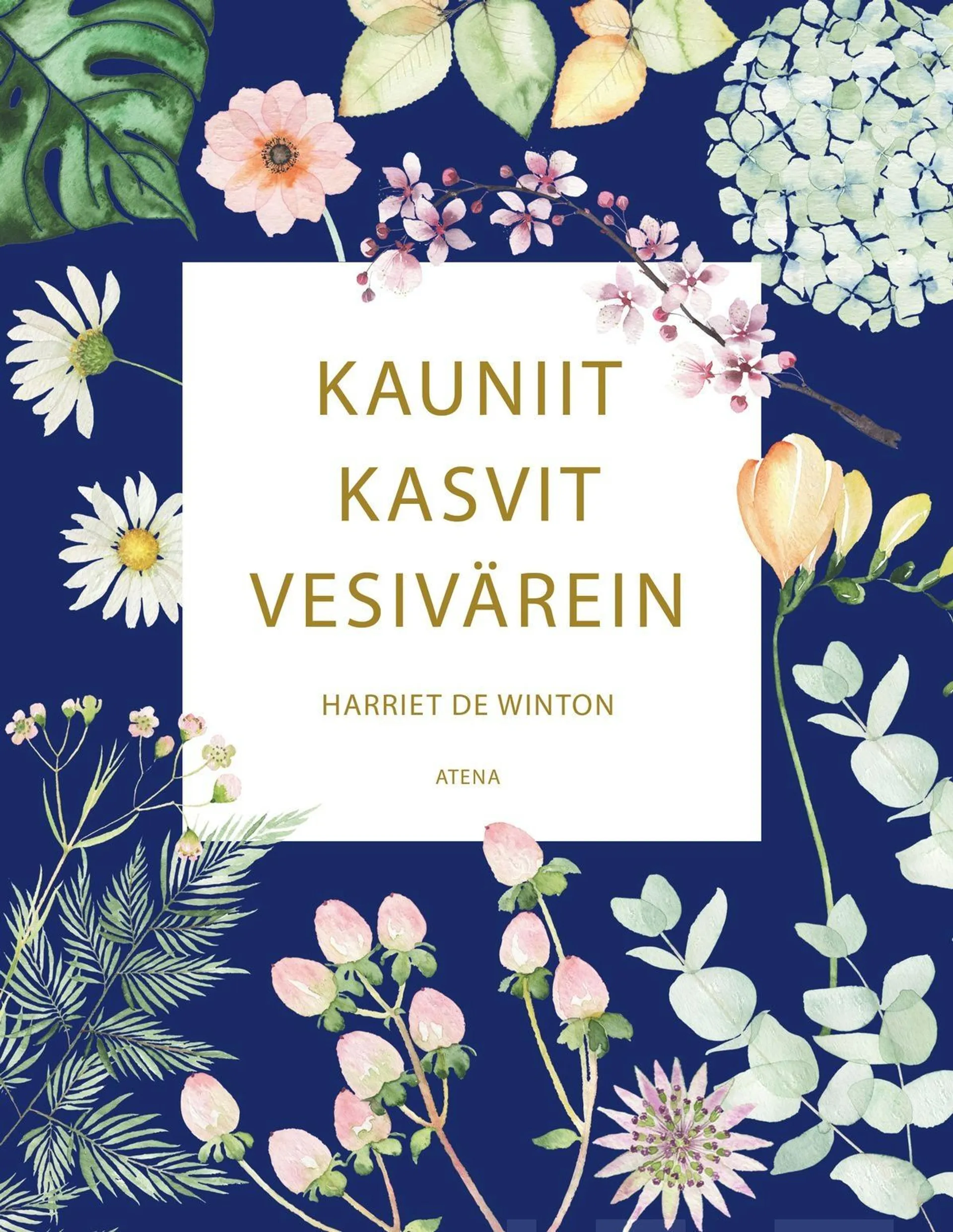 Winton, Kauniit kasvit vesivärein