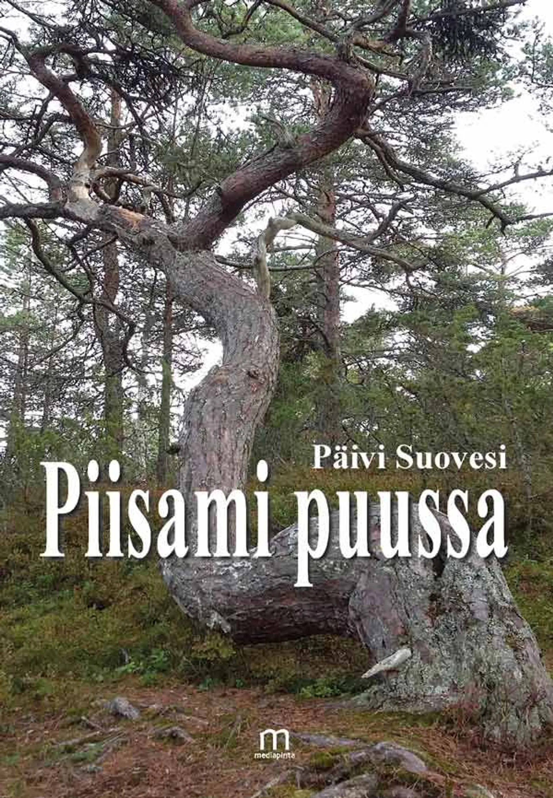 Suovesi, Piisami puussa