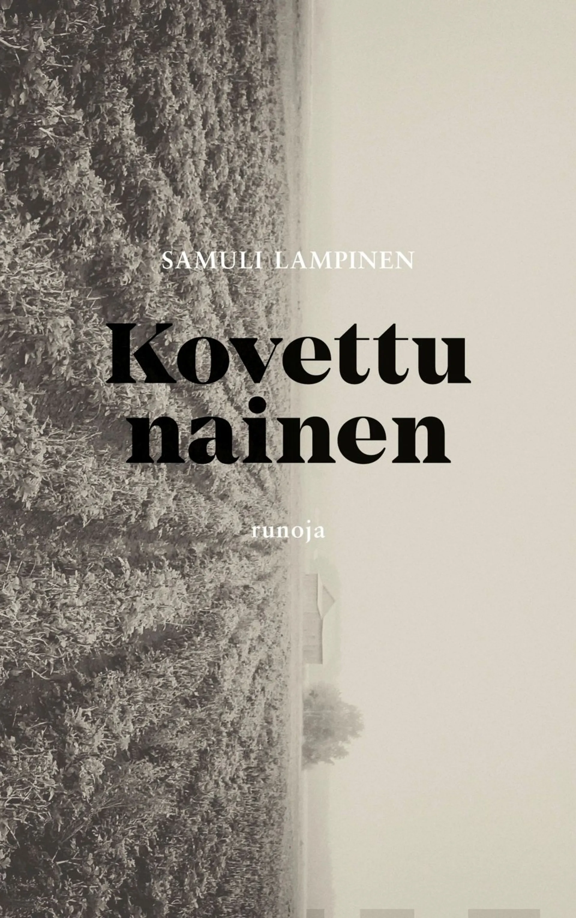 Lampinen, Kovettu nainen - Runoja