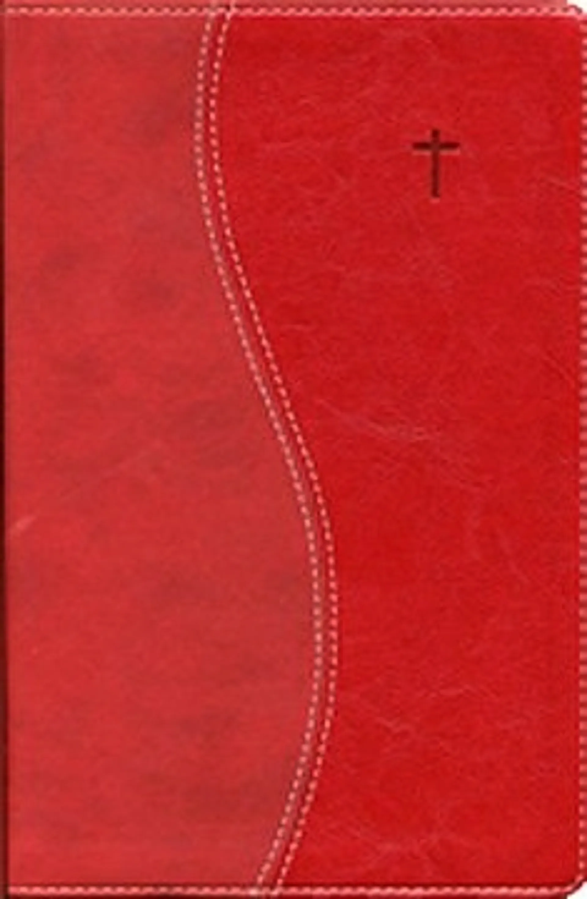 Raamattu (suomi-englanti, 160x235 mm, kultasyrjä, reunahakemisto, nahkajäljitelmä, punainen, New International Version -käännös)