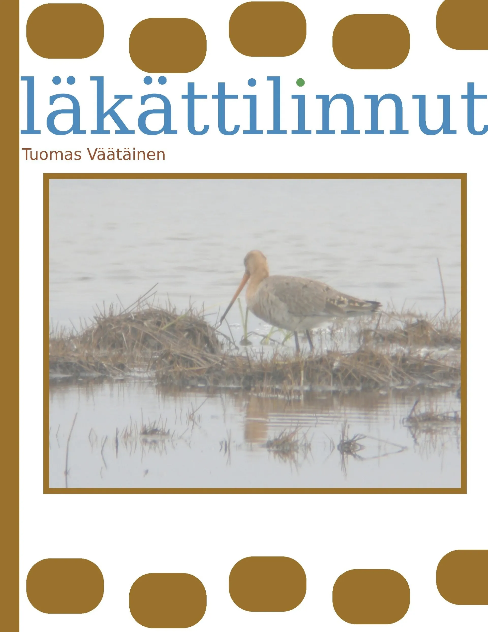 Väätäinen, Läkättilinnut