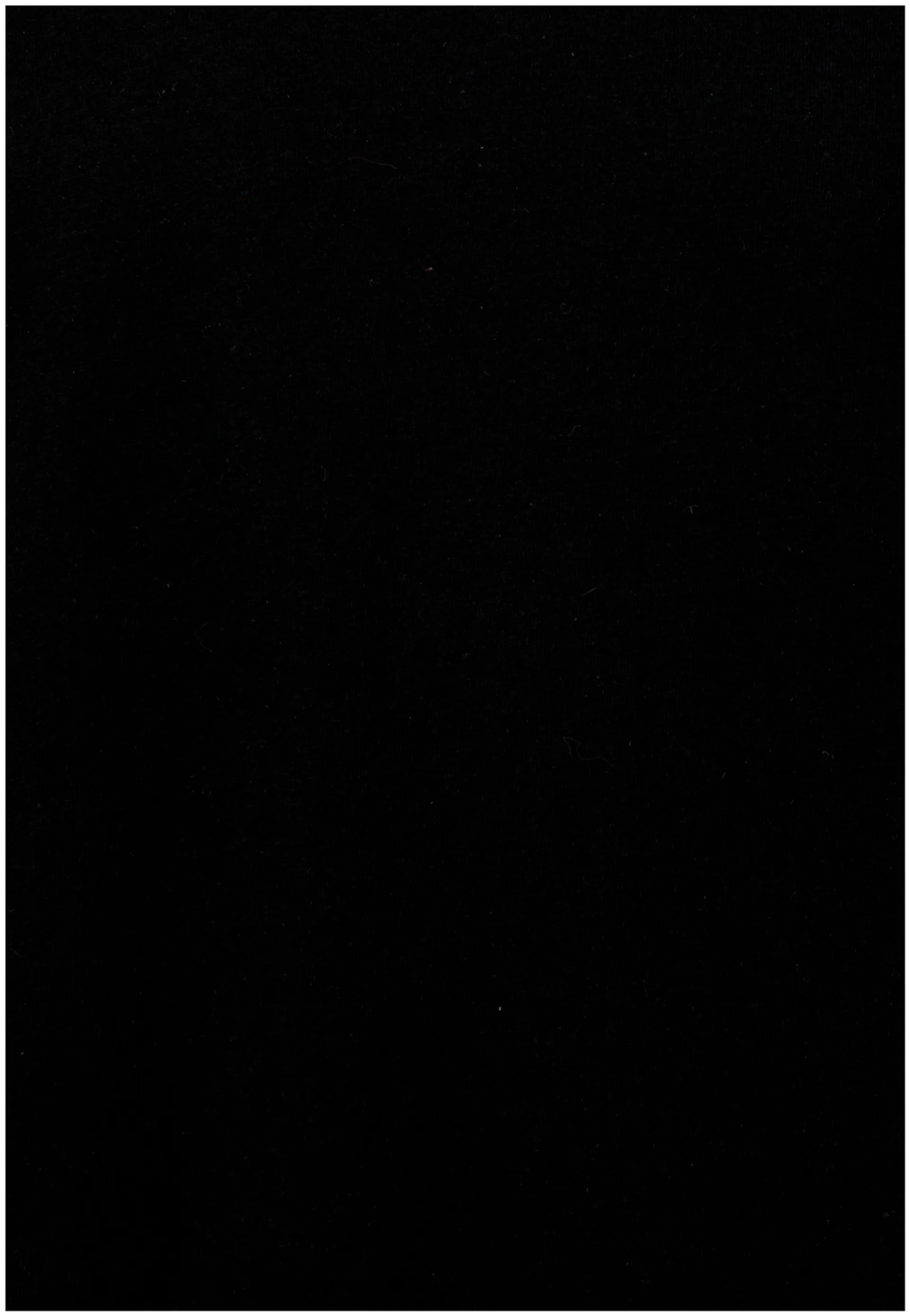 House nuorten t-paita 23PH032408, oversize - BLACK - 3