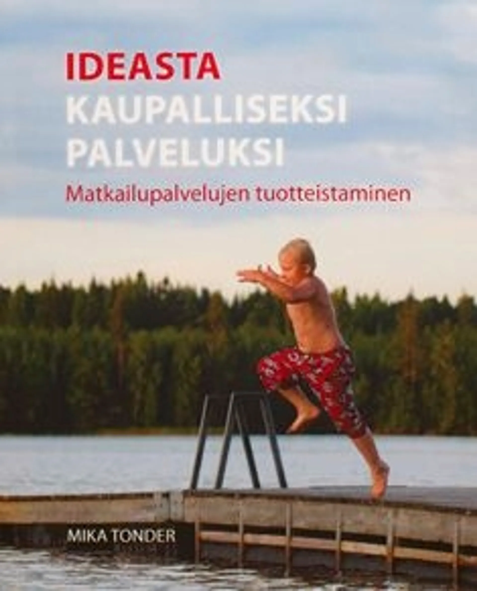 Tonder, Ideasta kaupalliseksi palveluksi - Matkailupalvelujen tuotteistaminen