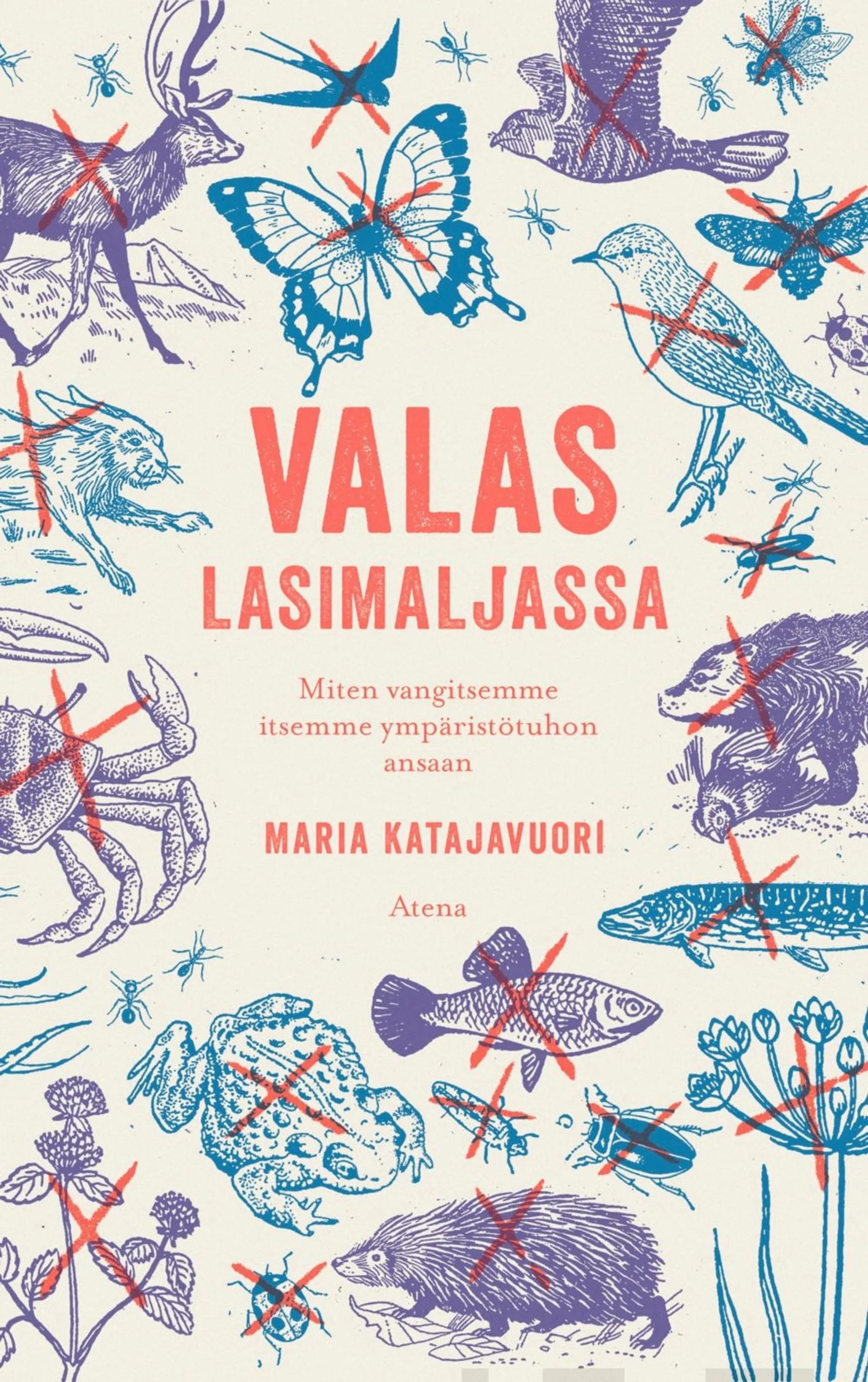 Katajavuori, Valas lasimaljassa