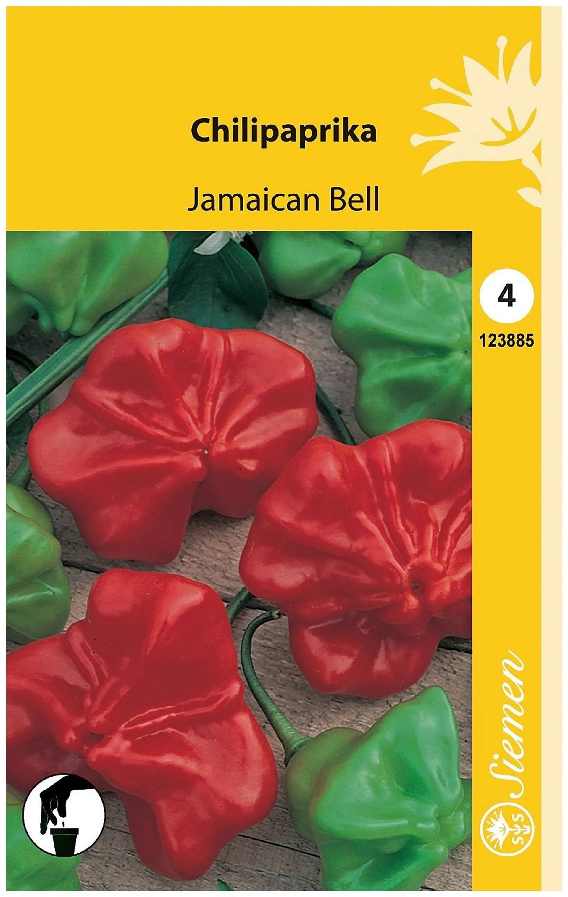 Chilipaprika Jamaican Bell