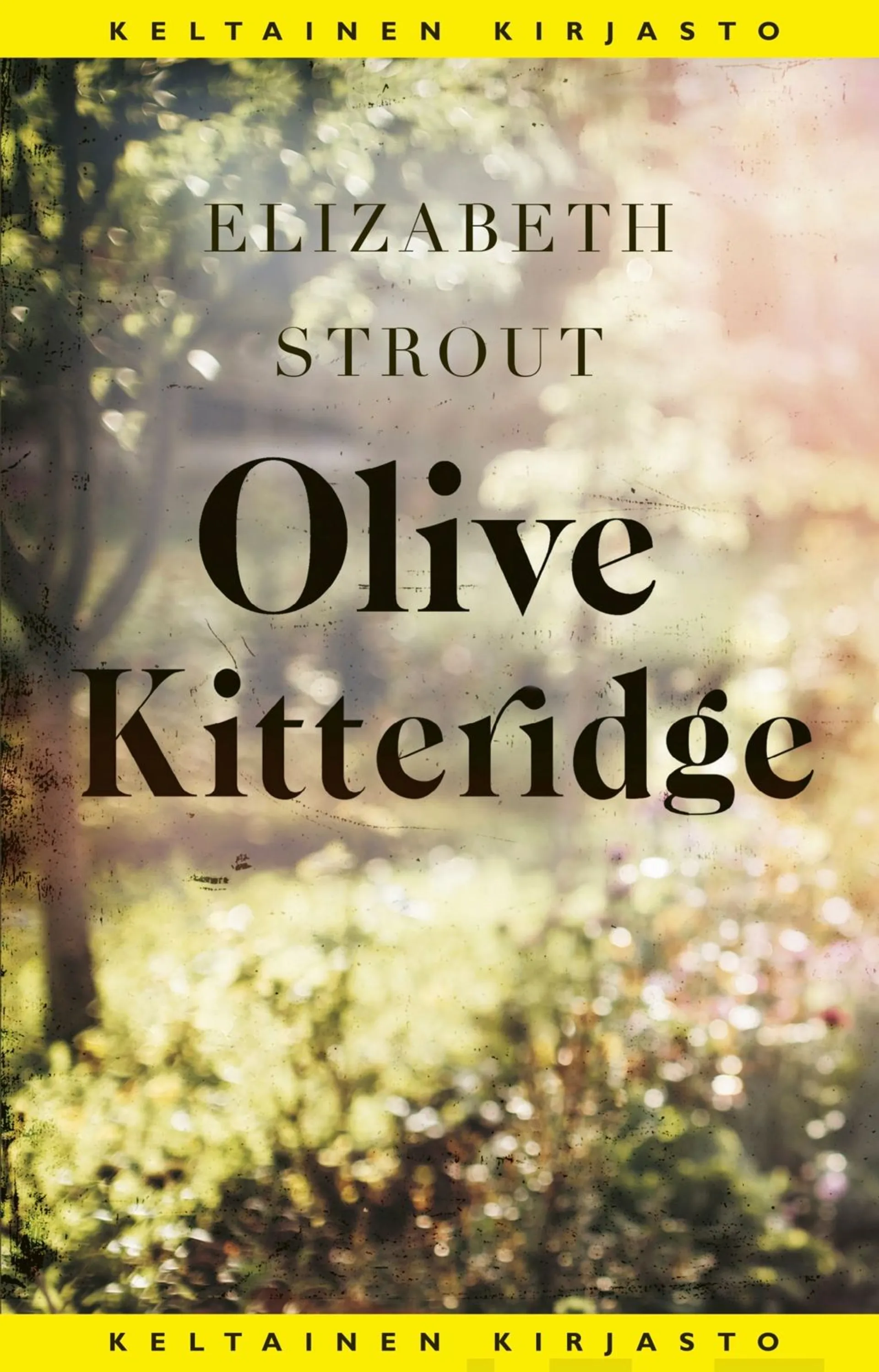 Strout, Olive Kitteridge