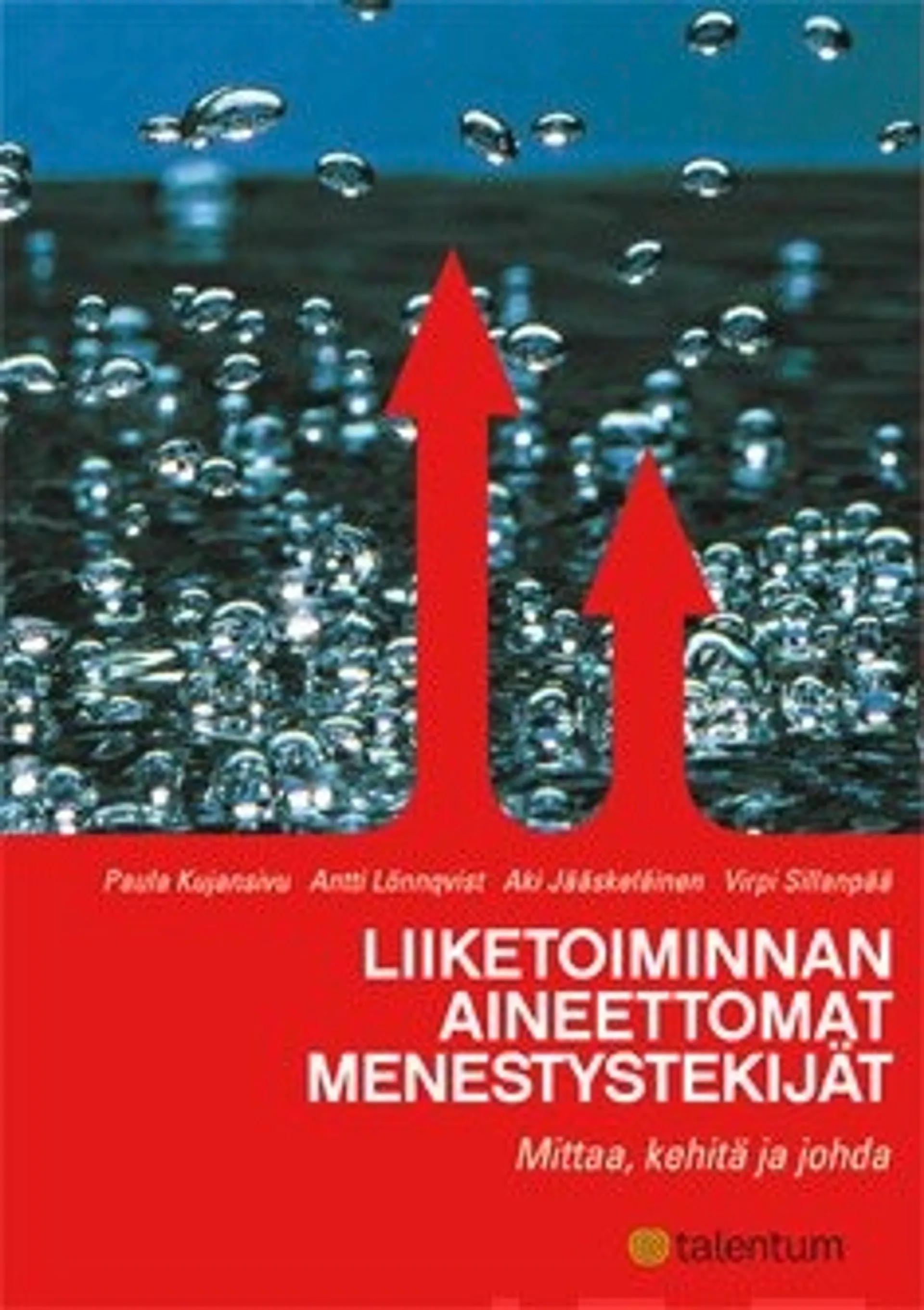 Liiketoiminnan aineettomat menestystekijät