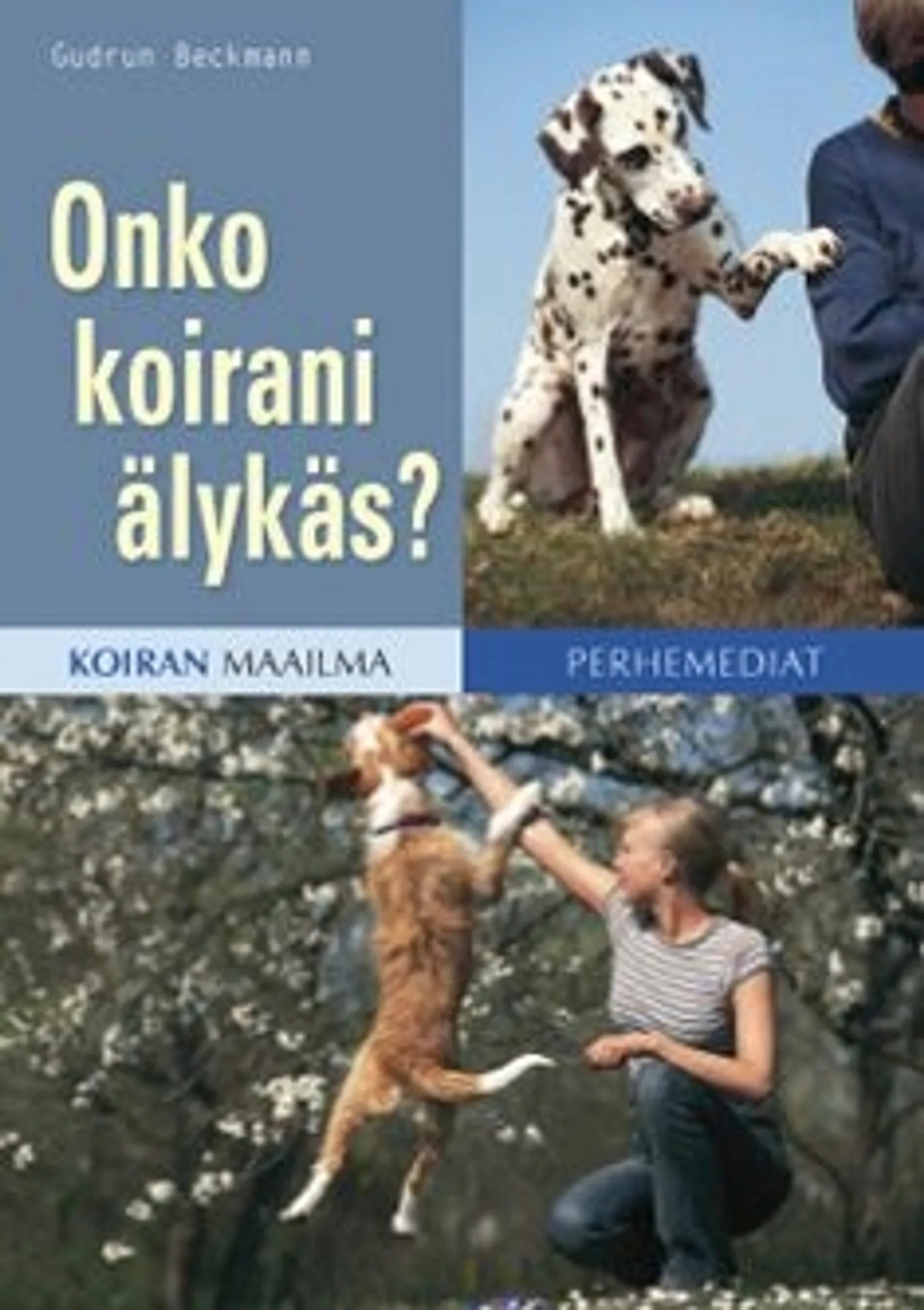 Beckmann, Onko koirani älykäs?