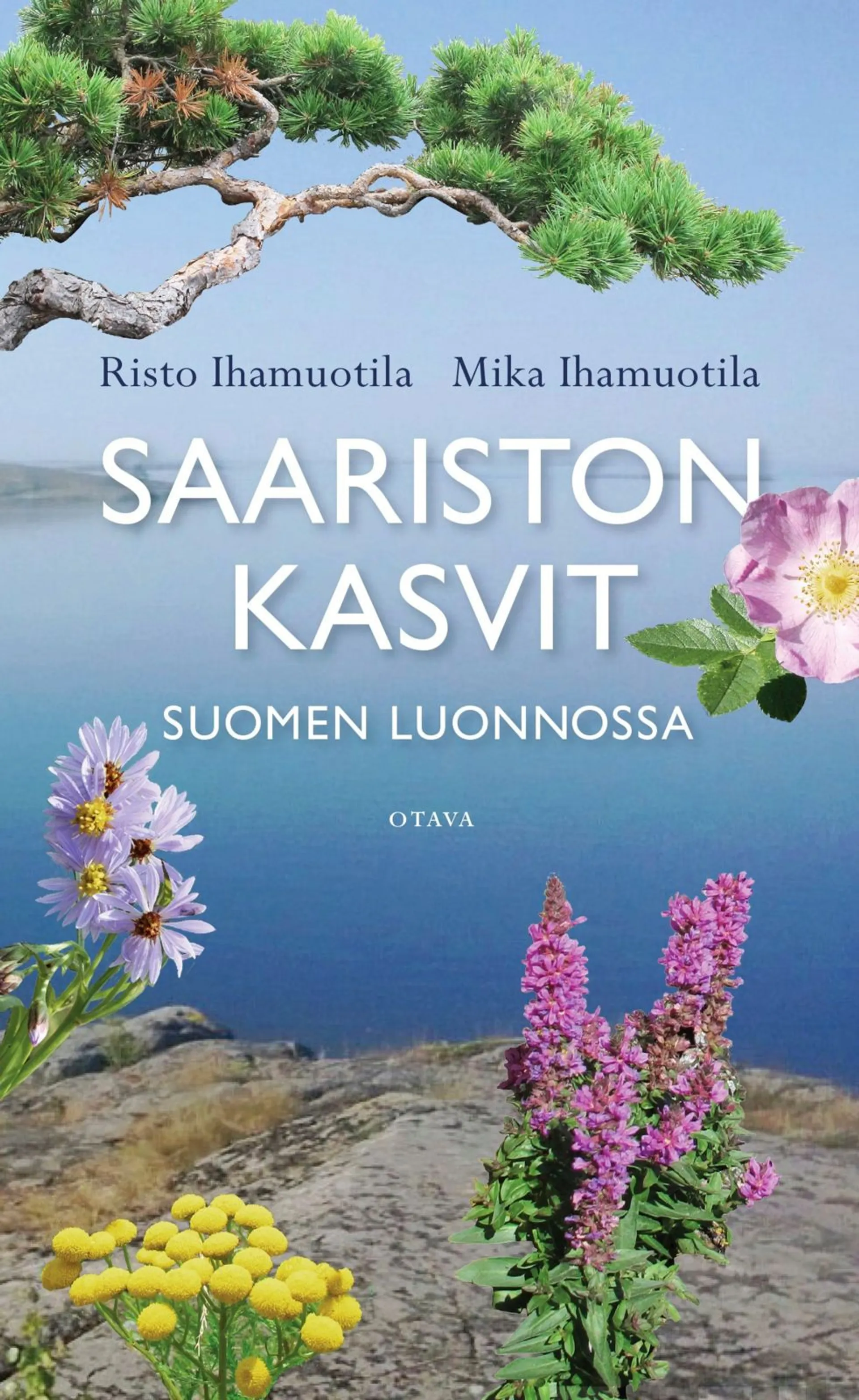 Ihamuotila, Saariston kasvit Suomen luonnossa