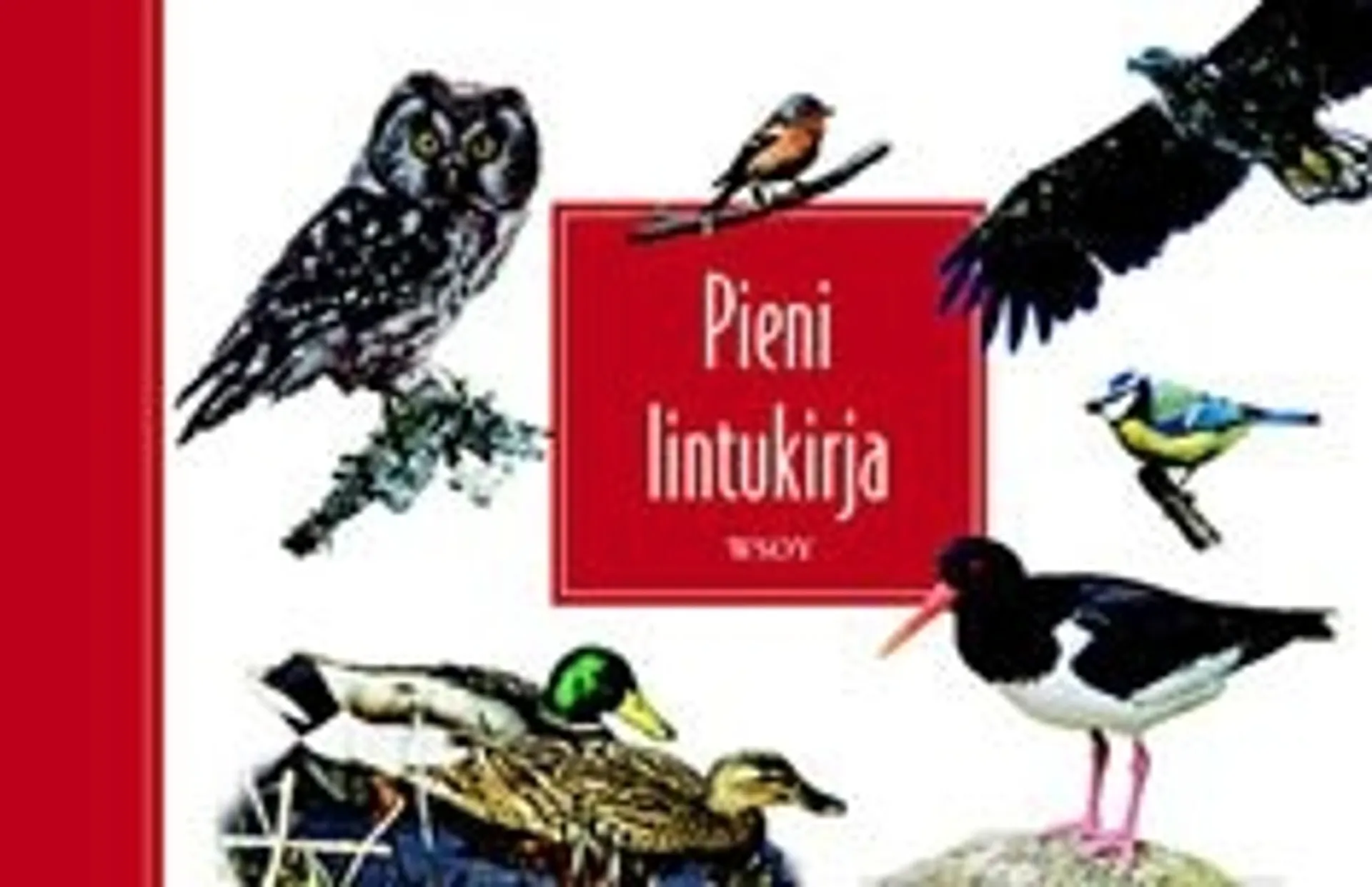 Pieni lintukirja