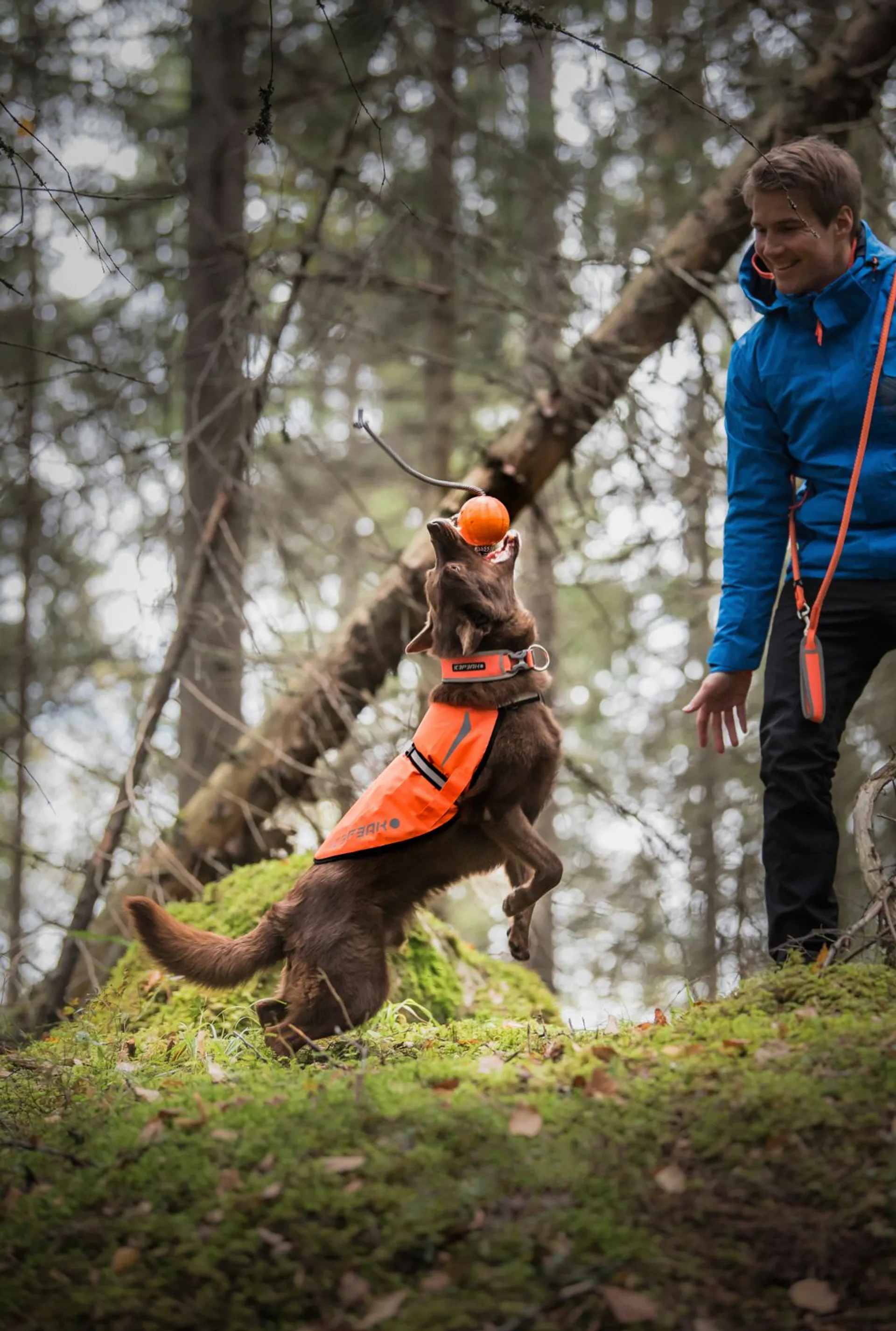 Icepeak Pet koiran heijastinliivi Prozone M oranssi - 2