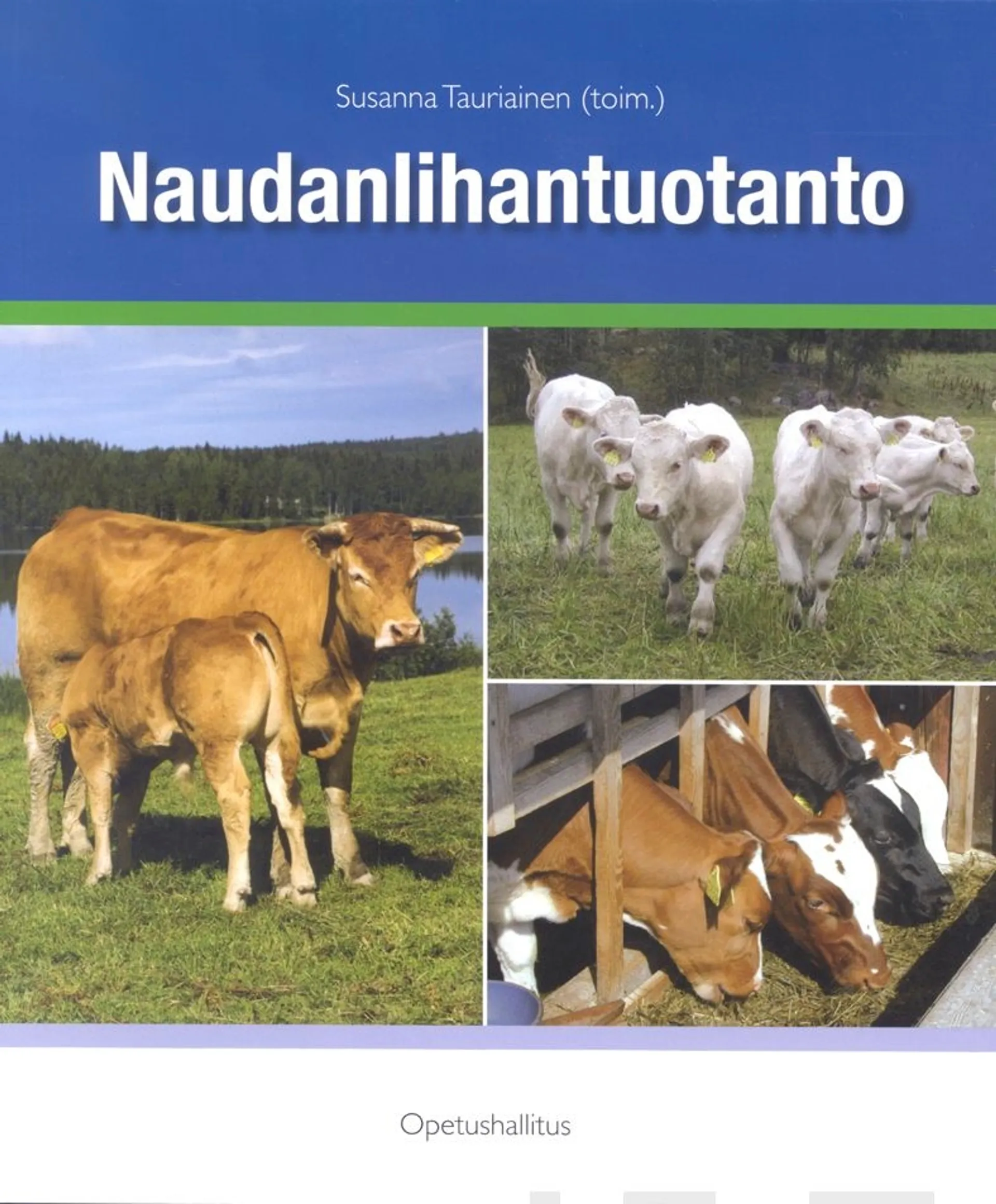 Naudanlihantuotanto