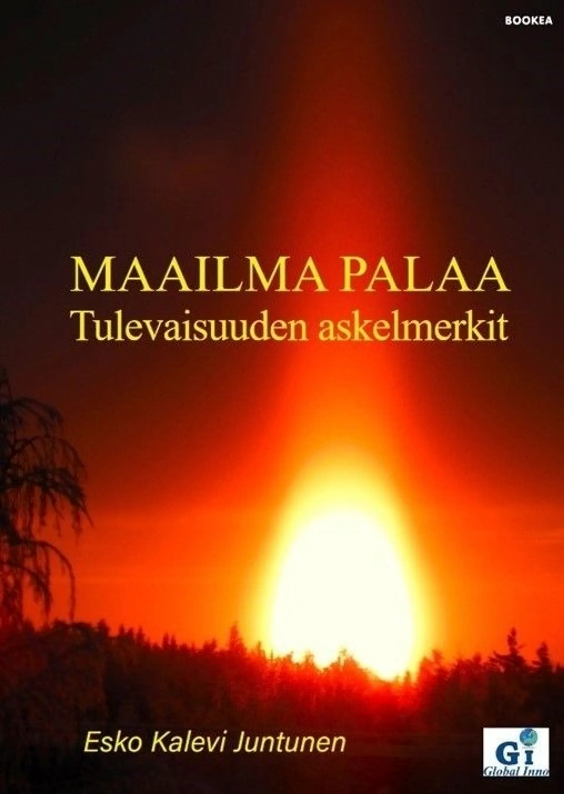 Juntunen, Maailma palaa - Tulevaisuuden askelmerkit