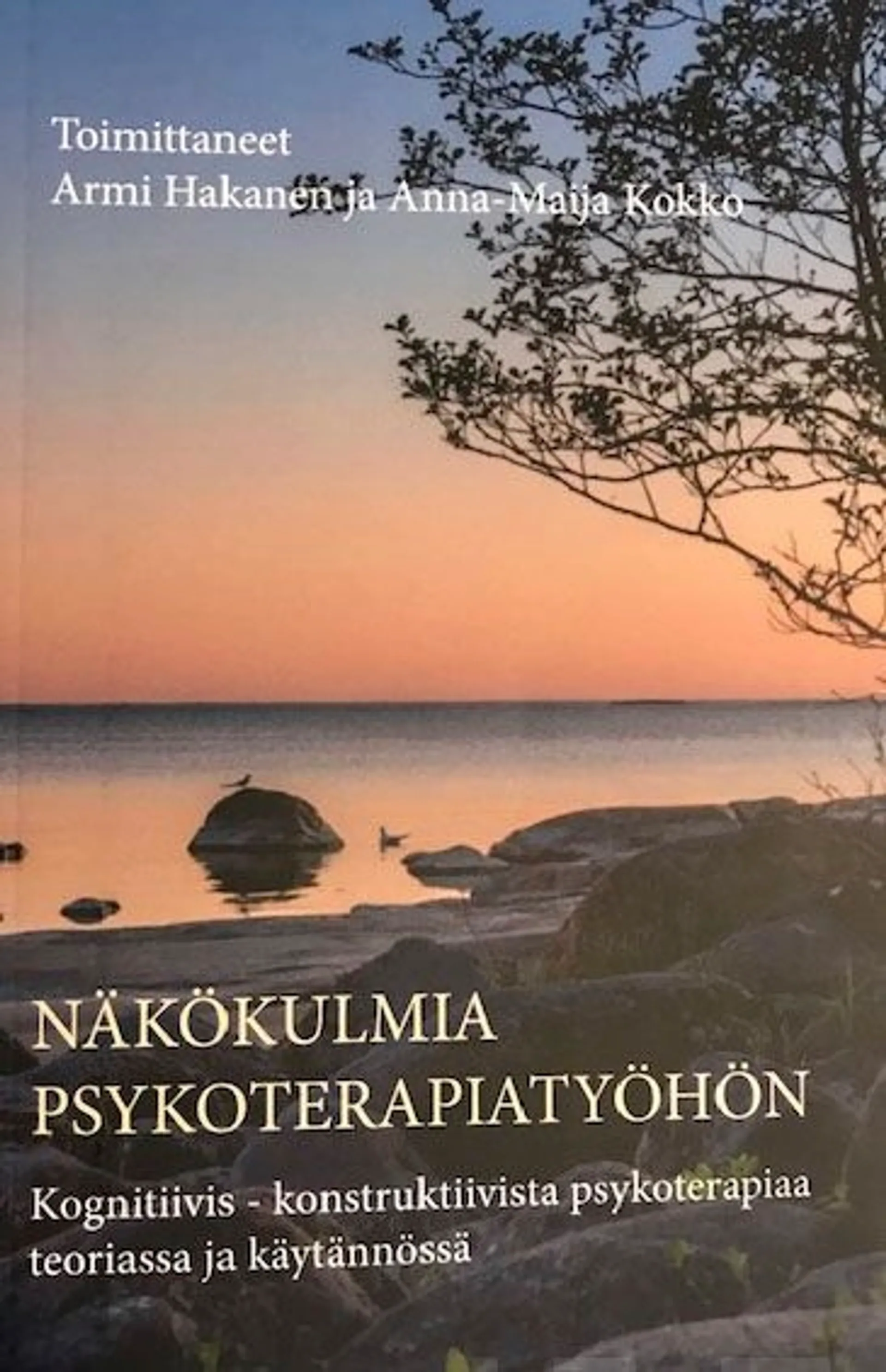 Näkökulmia psykoterapiatyöhön - Kognitiivis-konstruktiivista psykoterapiaa teoriassa ja käytännössä