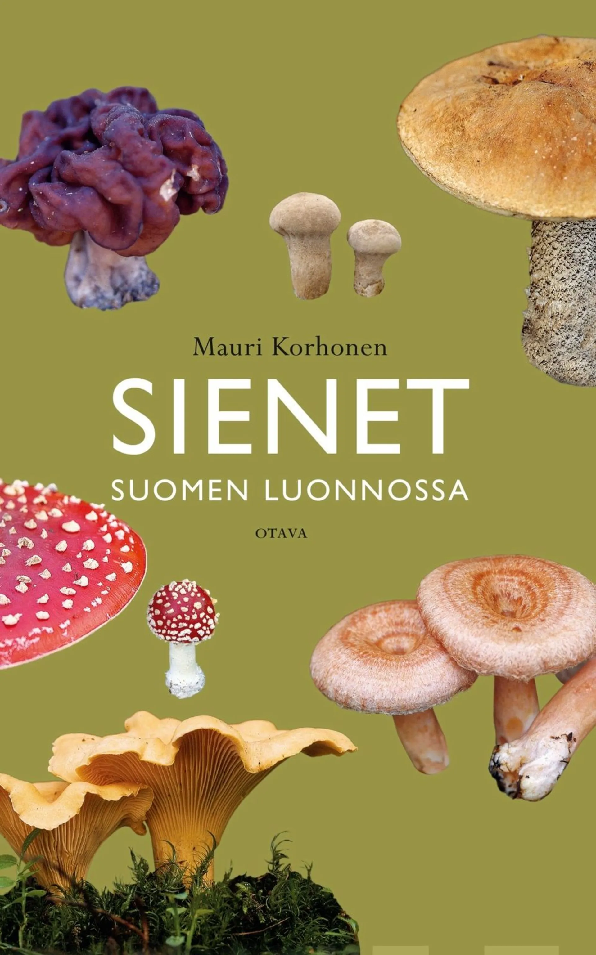 Korhonen, Sienet Suomen luonnossa