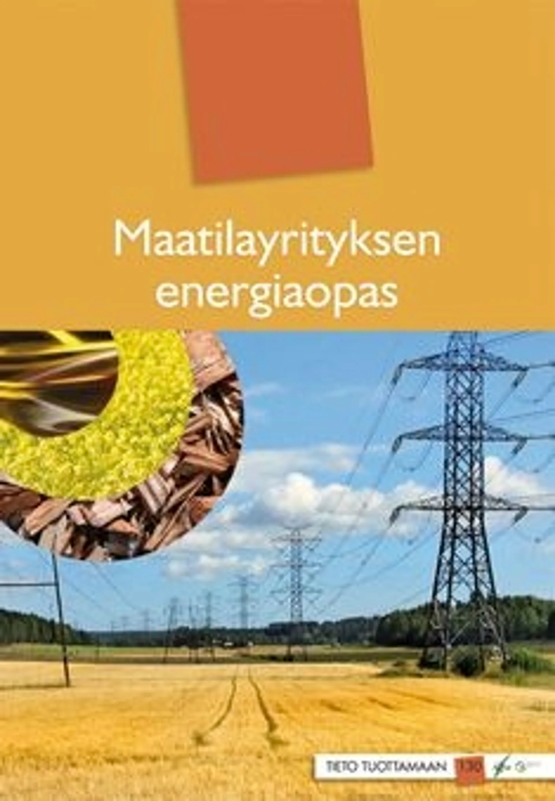 Brofeldt, Maatilayrityksen energiaopas
