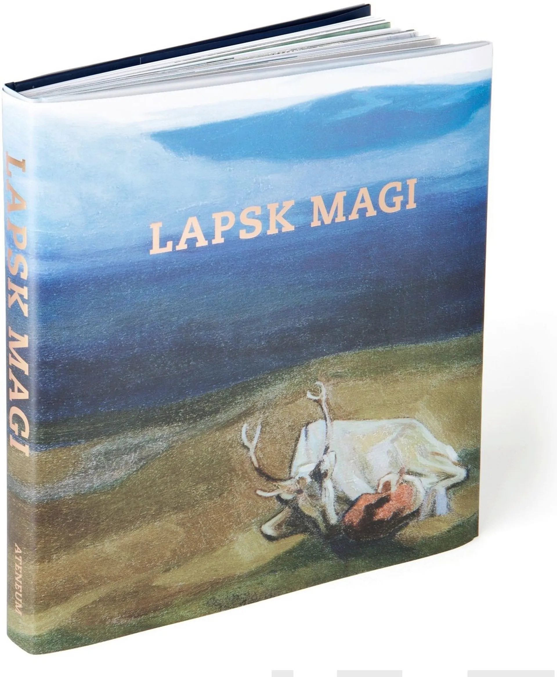 Lapsk magi