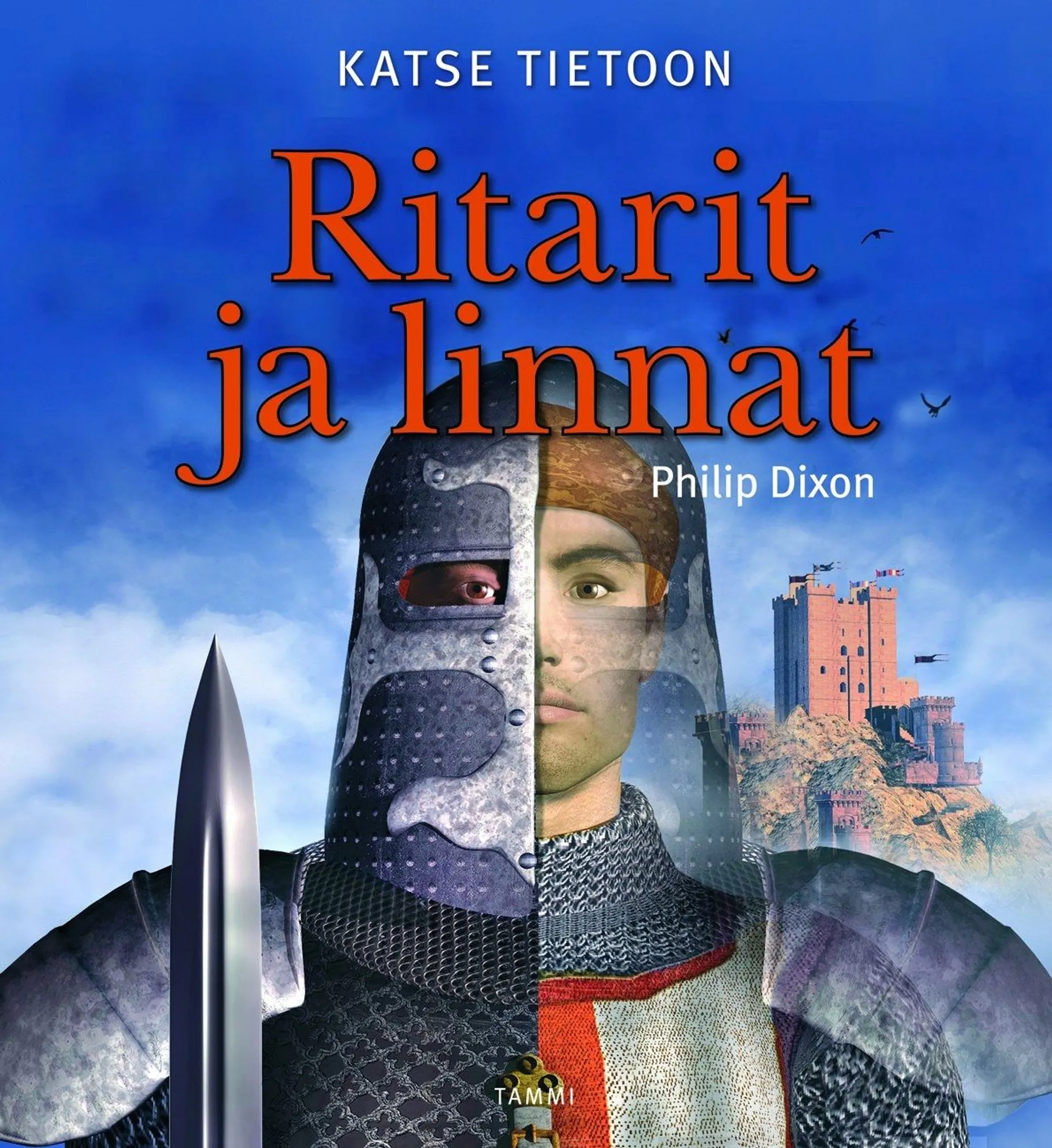 Ritarit ja linnat