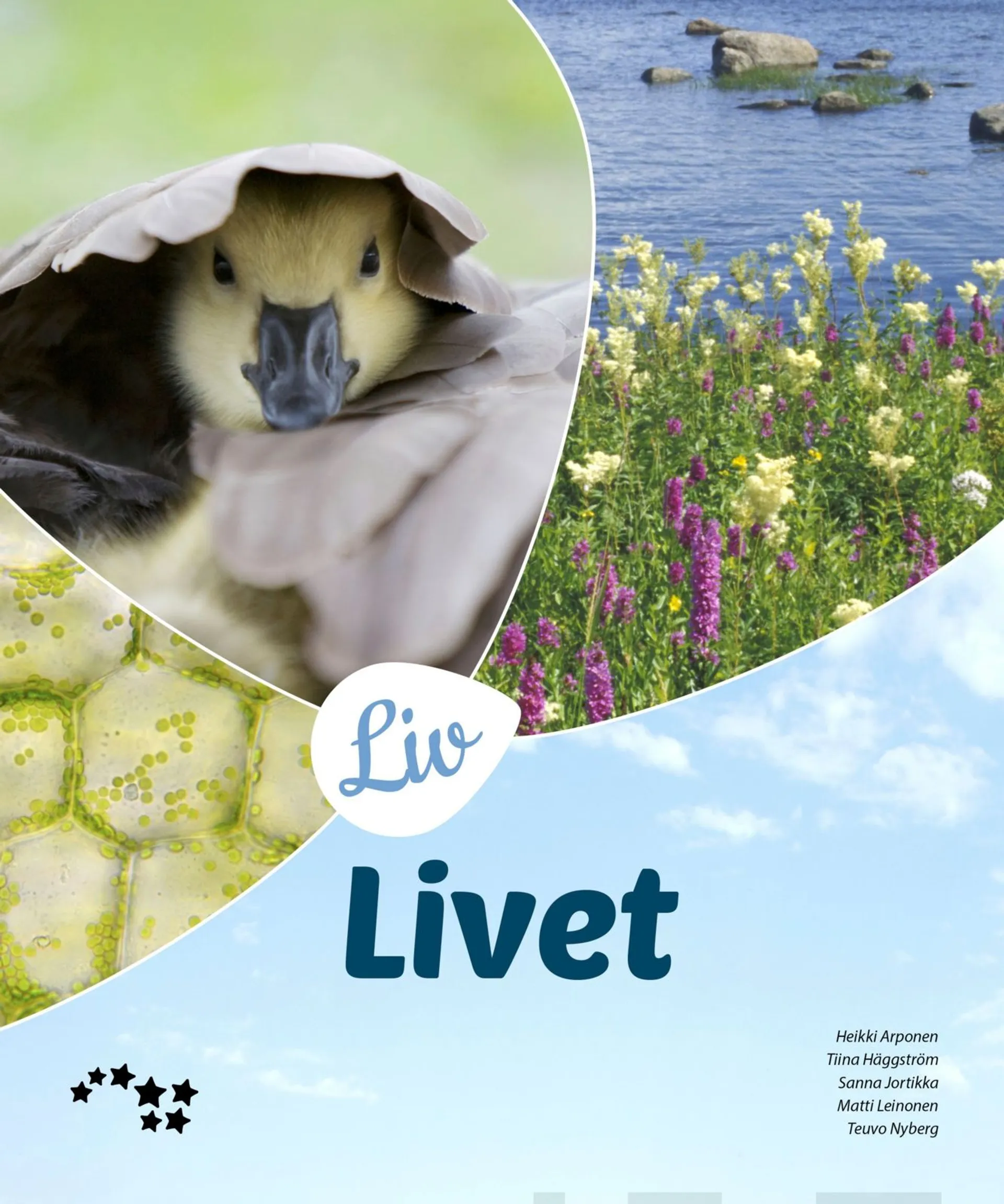 Arponen, Liv Livet (GLP16)