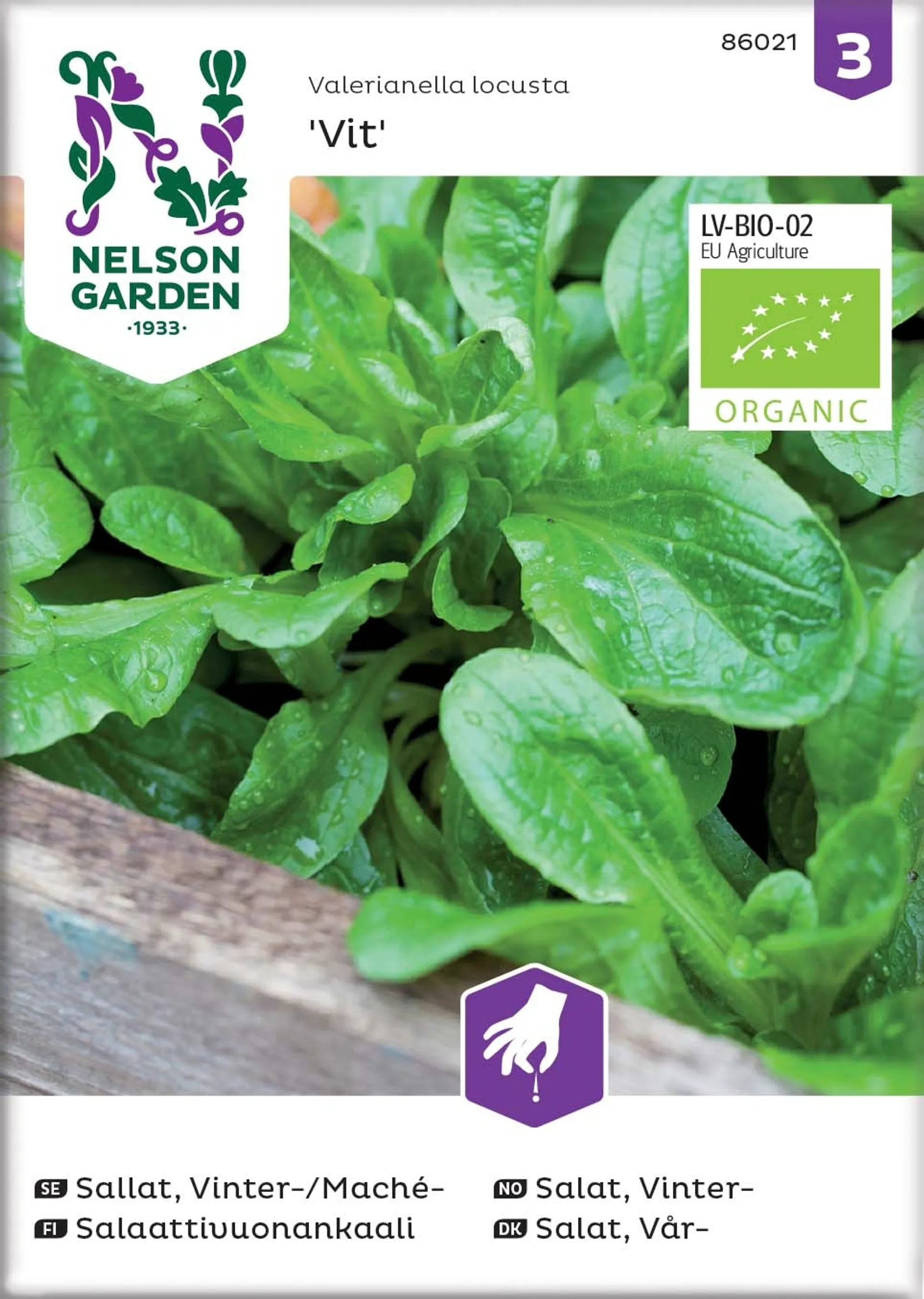 Nelson Garden Siemen Salaattivuonankaali, Vit, luomu