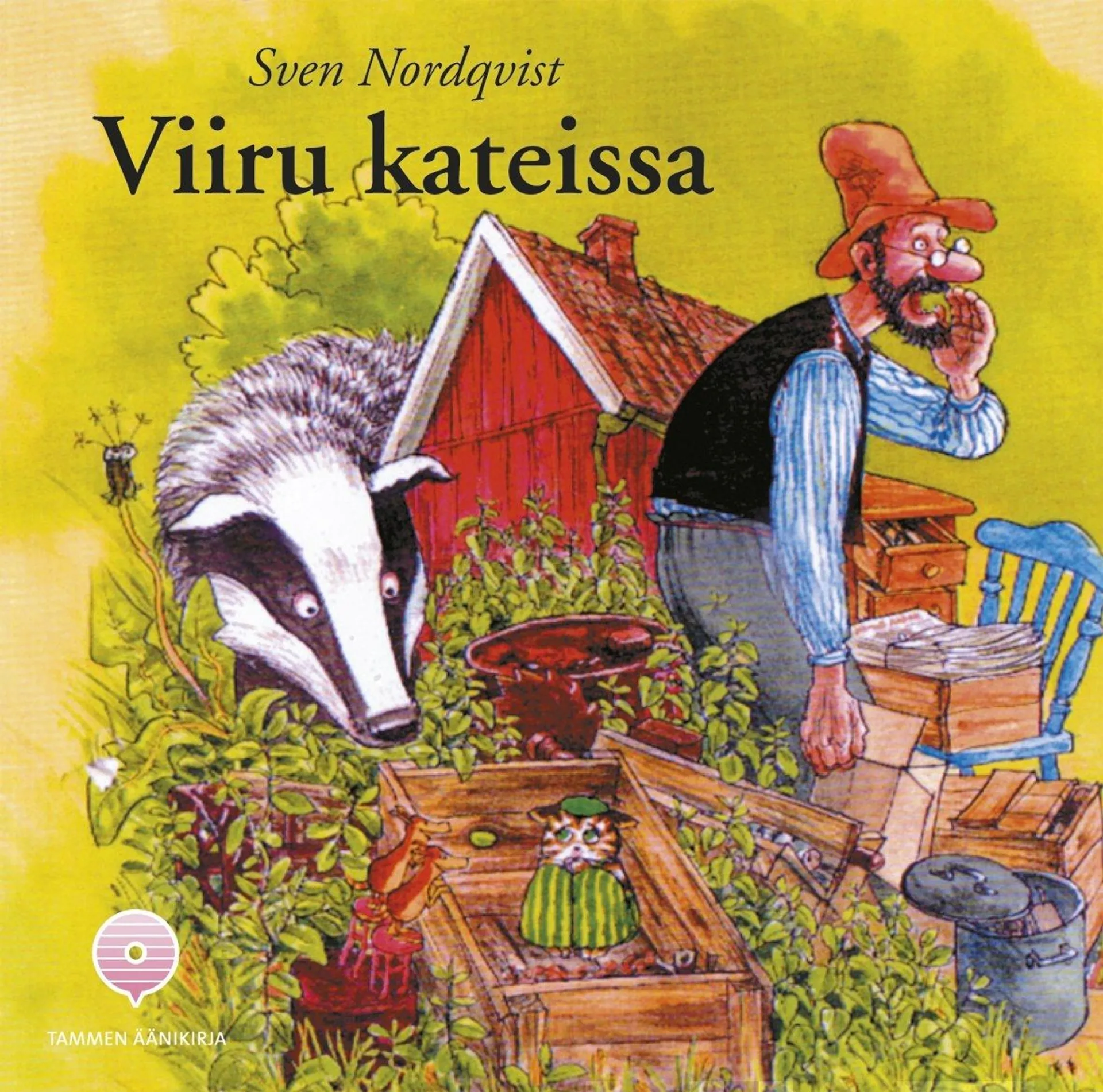 Viiru kateissa (äänikirja)