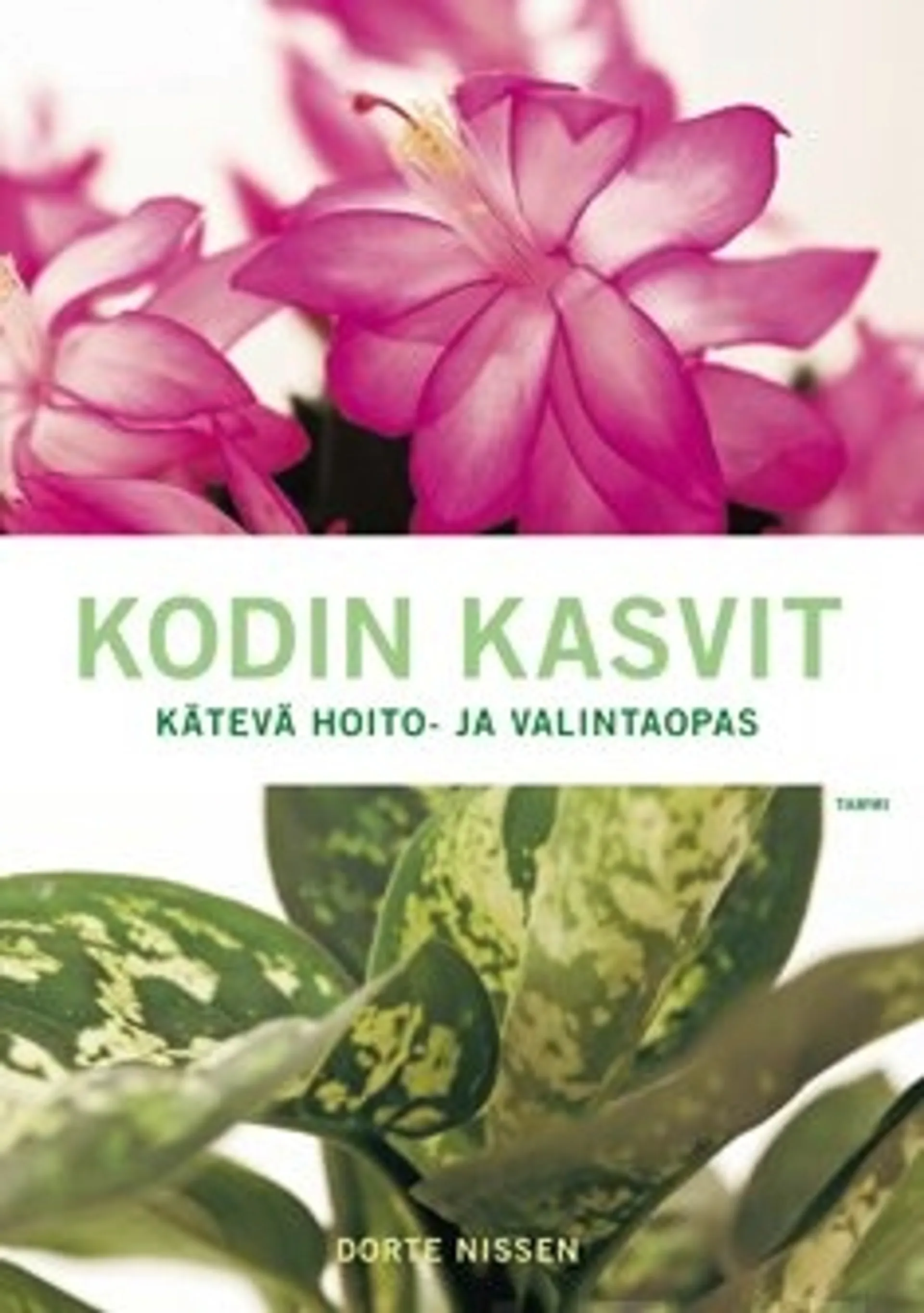 Kodin kasvit