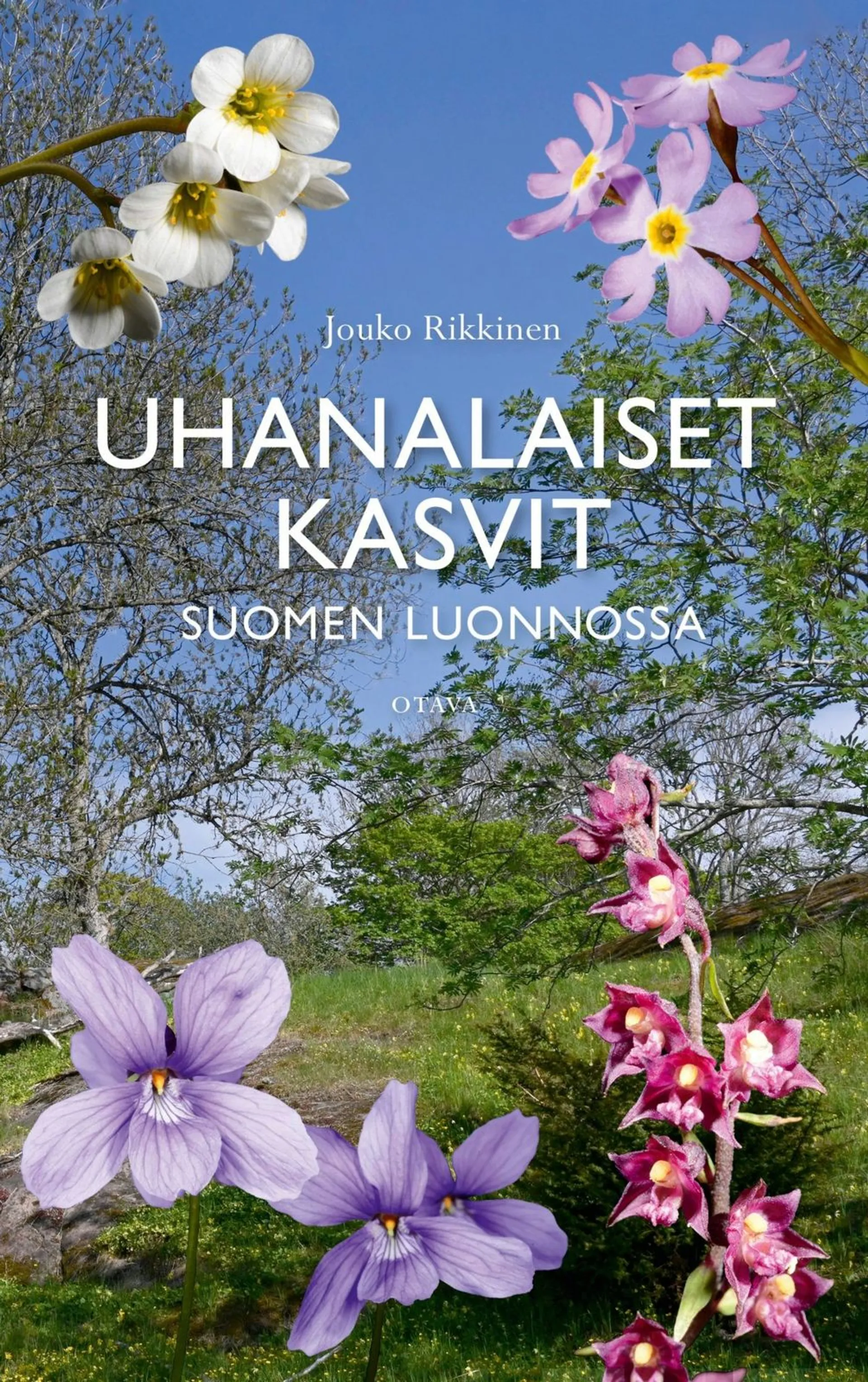 Rikkinen, Uhanalaiset kasvit Suomen luonnossa