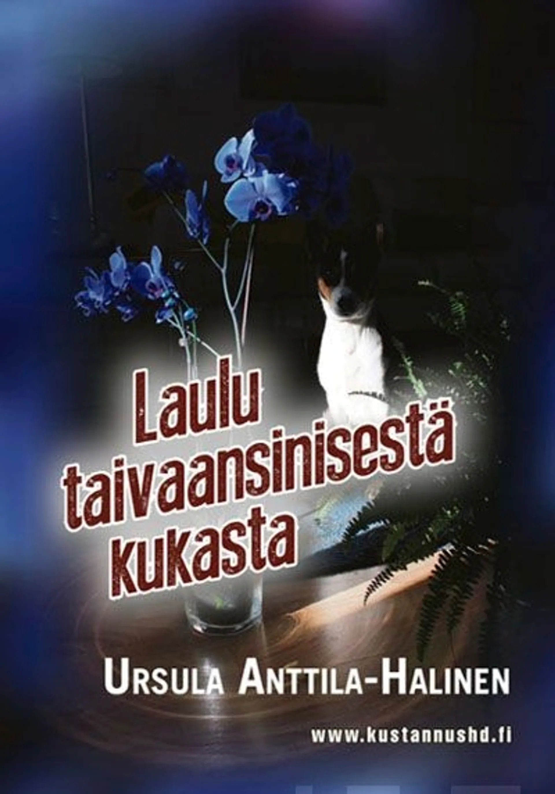 Anttila-Halinen, Laulu taivaansinisestä kukasta