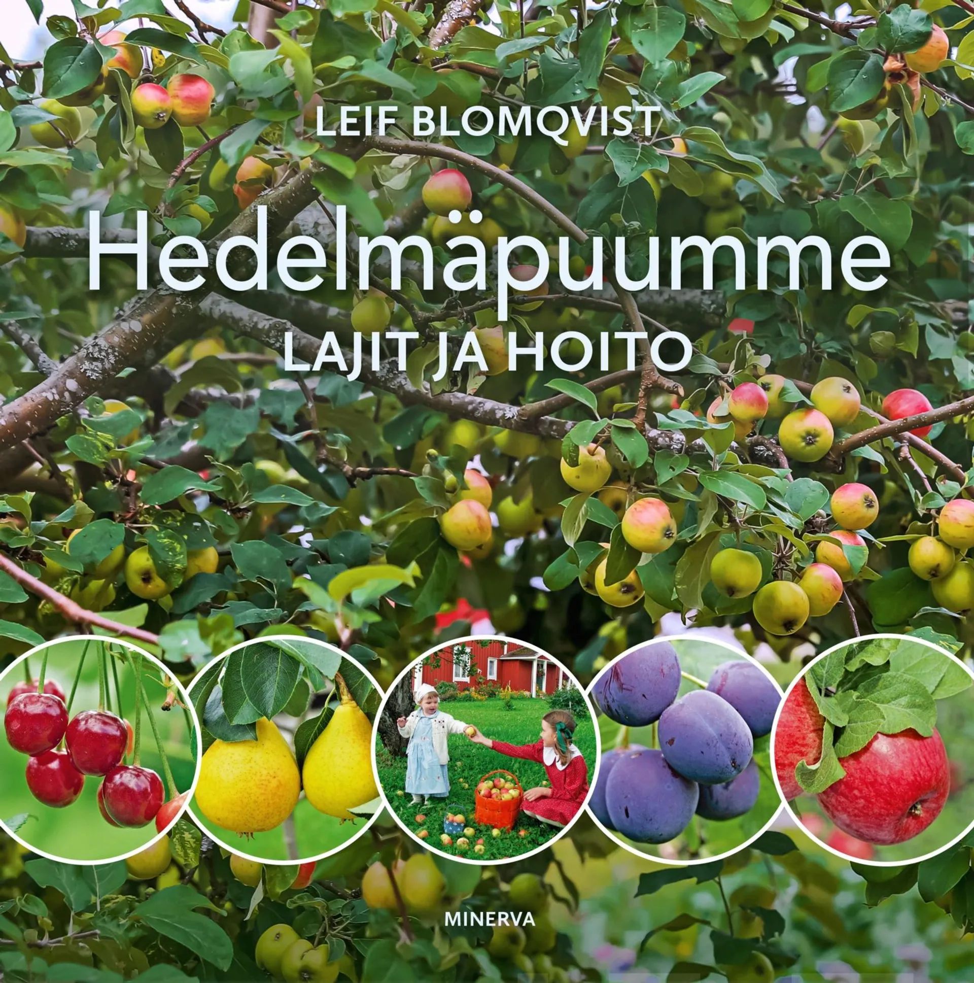Blomqvist, Hedelmäpuumme - Lajit ja hoito