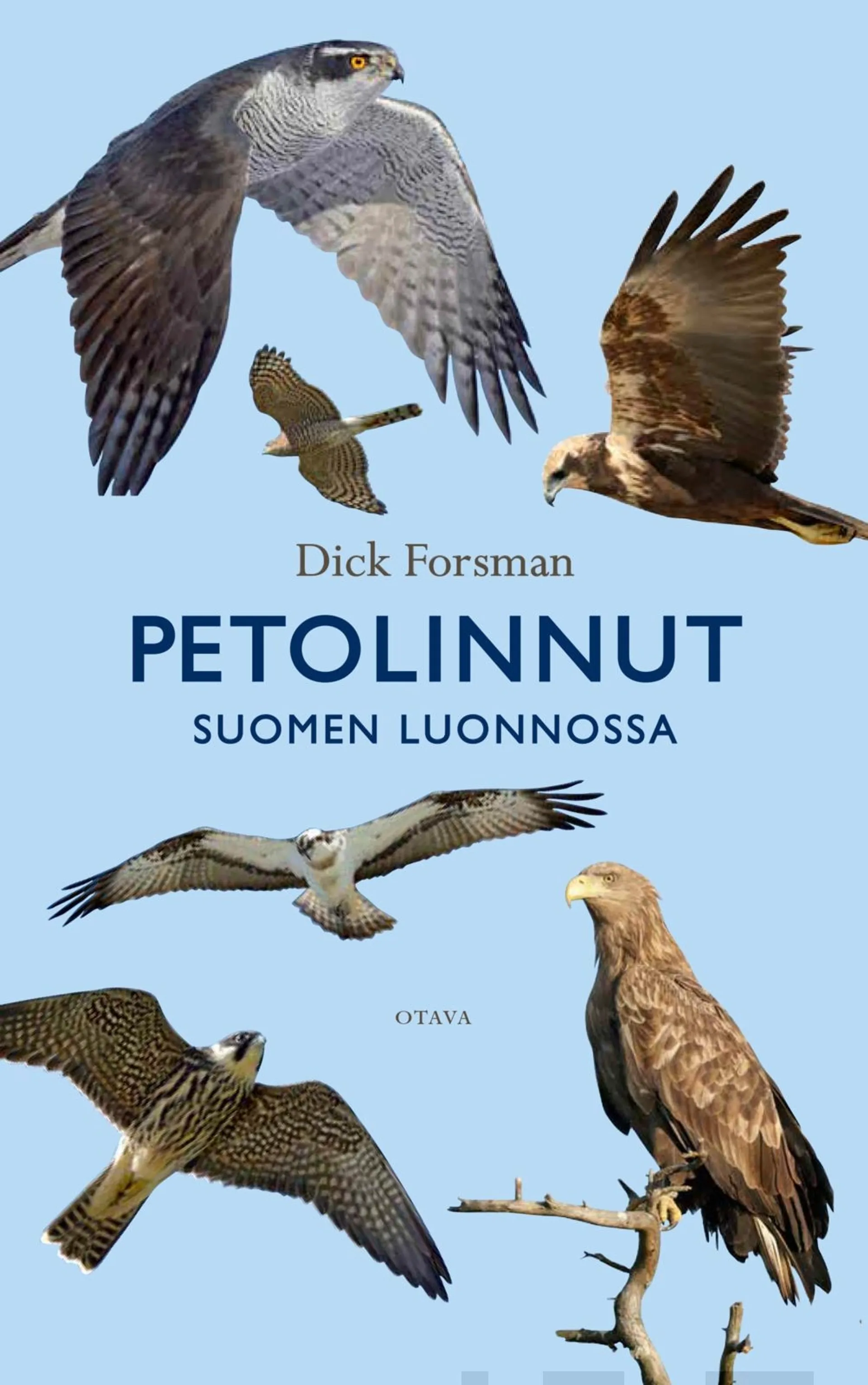 Forsman, Petolinnut Suomen luonnossa