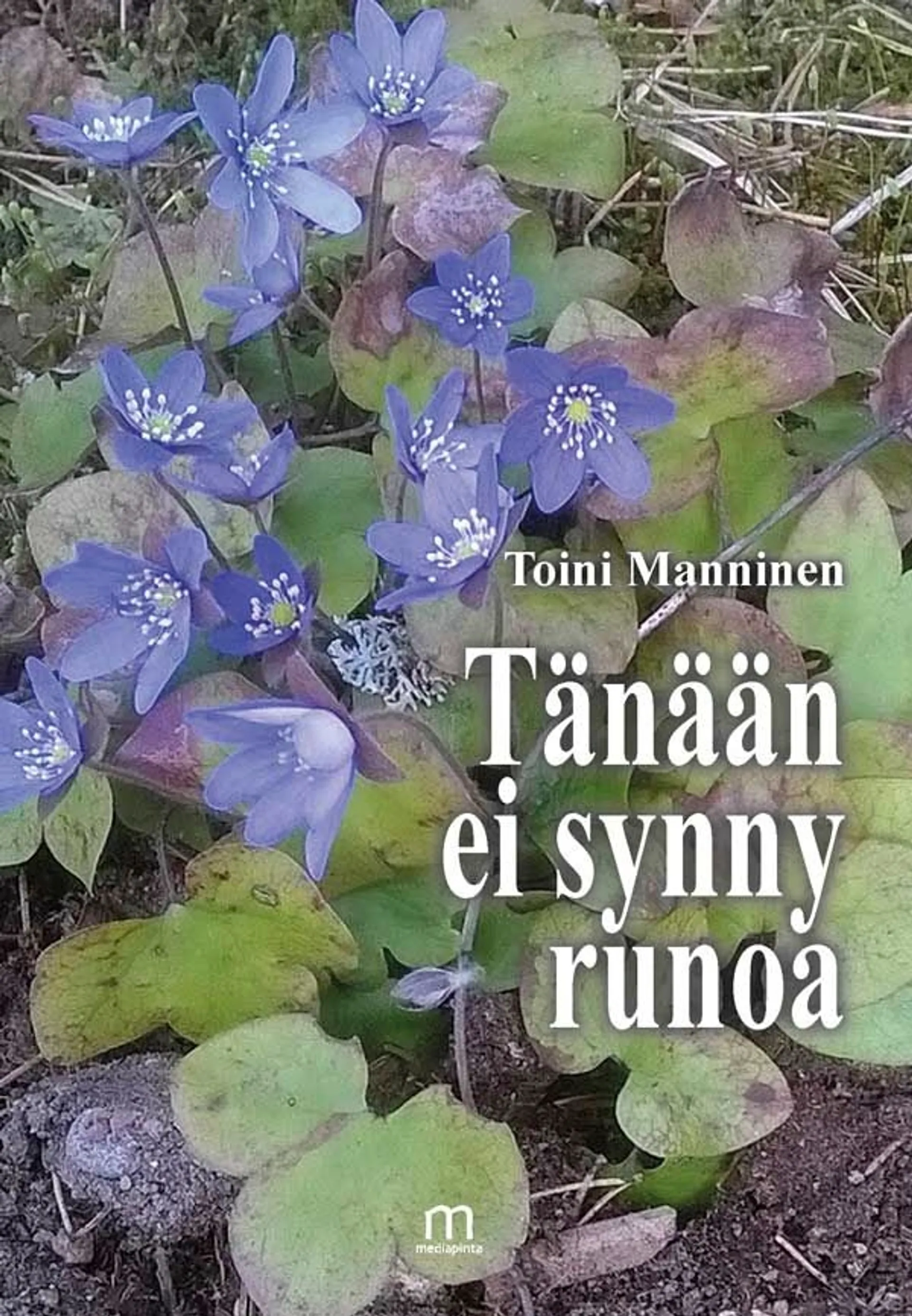 Manninen, Tänään ei synny runoa