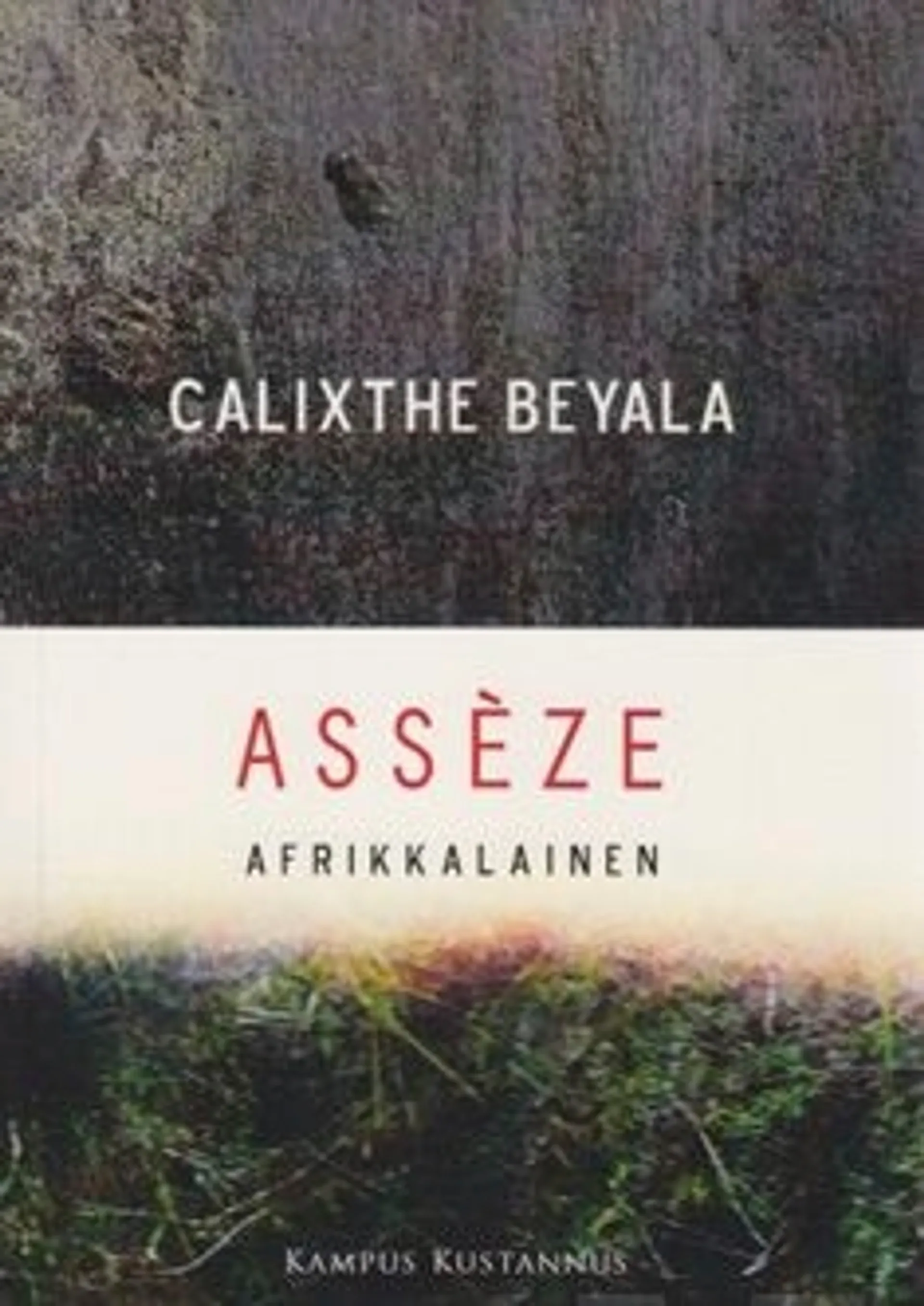 Beyala, Asseze, afrikkalainen