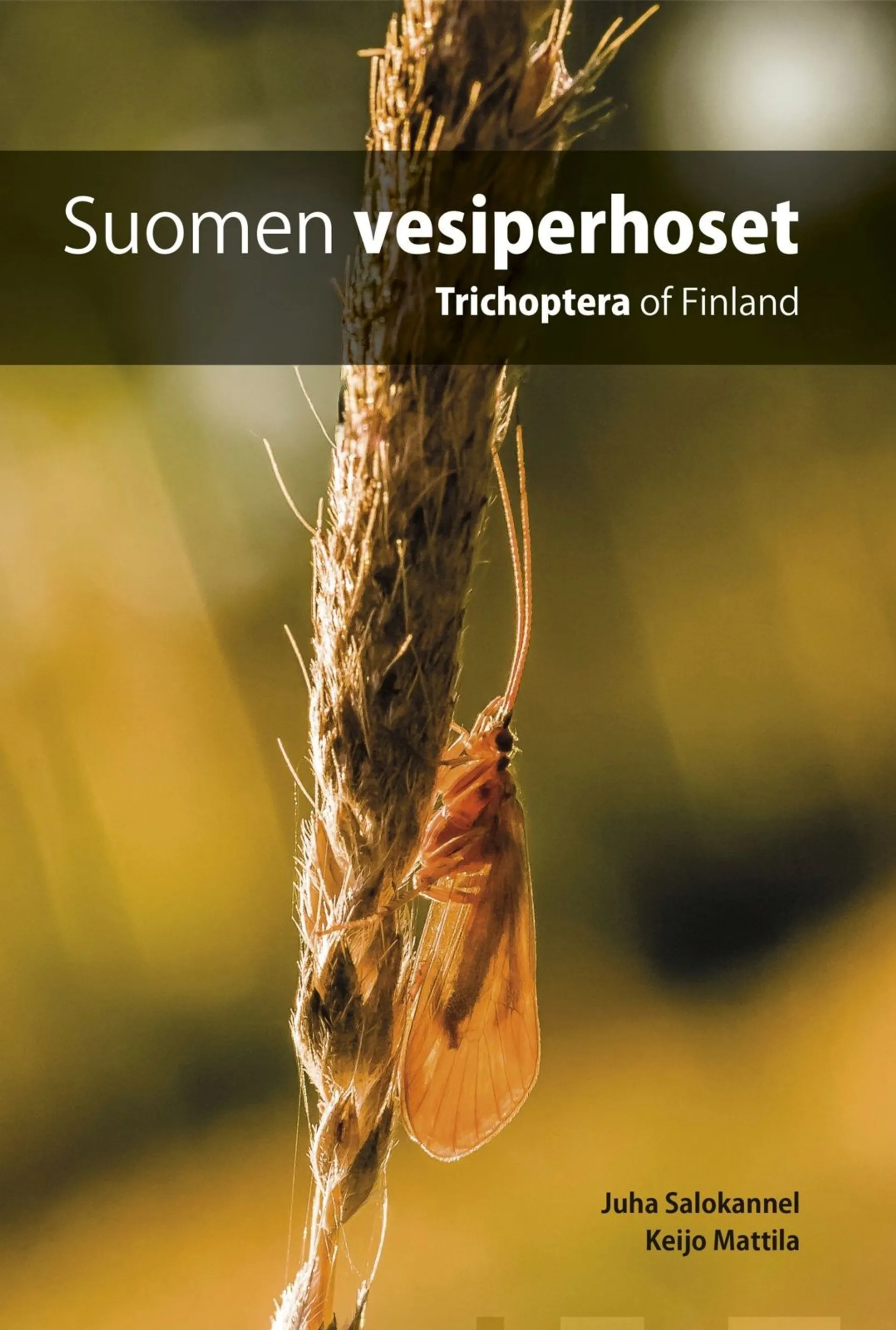 Salokannel, Suomen vesiperhoset - Trichoptera of Finland