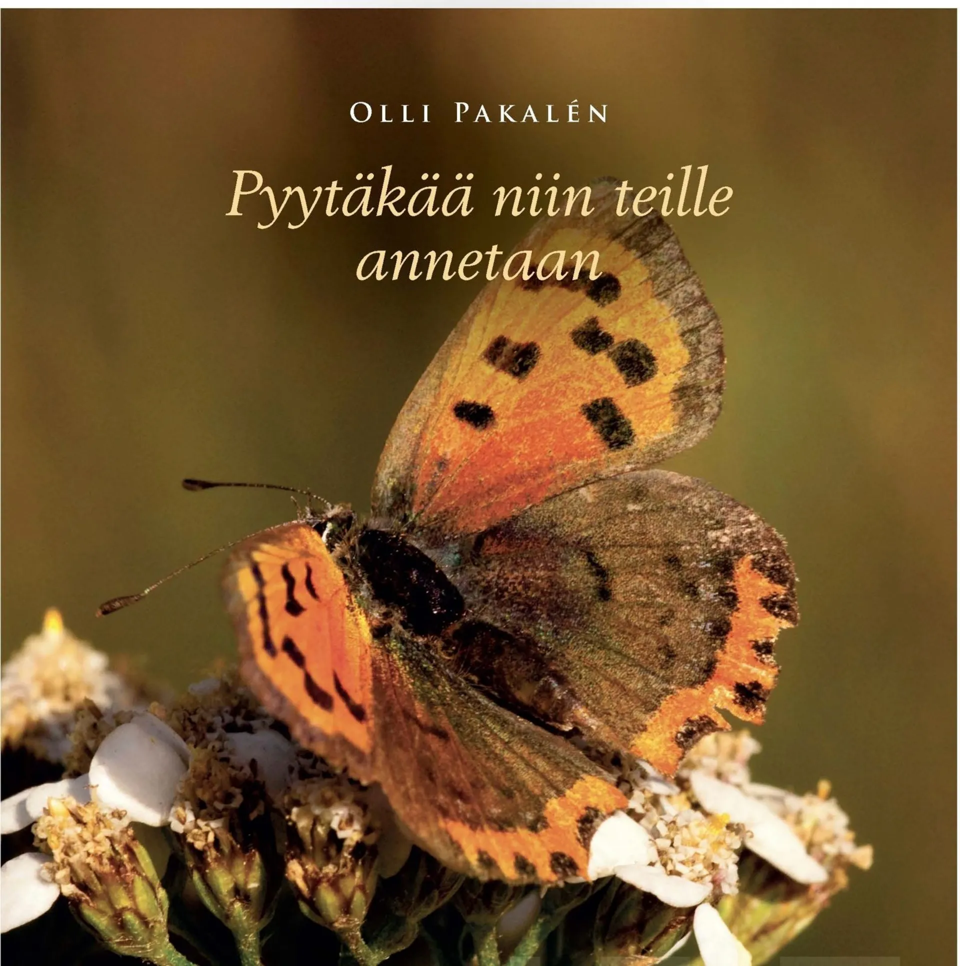 Pakalèn, Pyytäkää niin teille annetaan