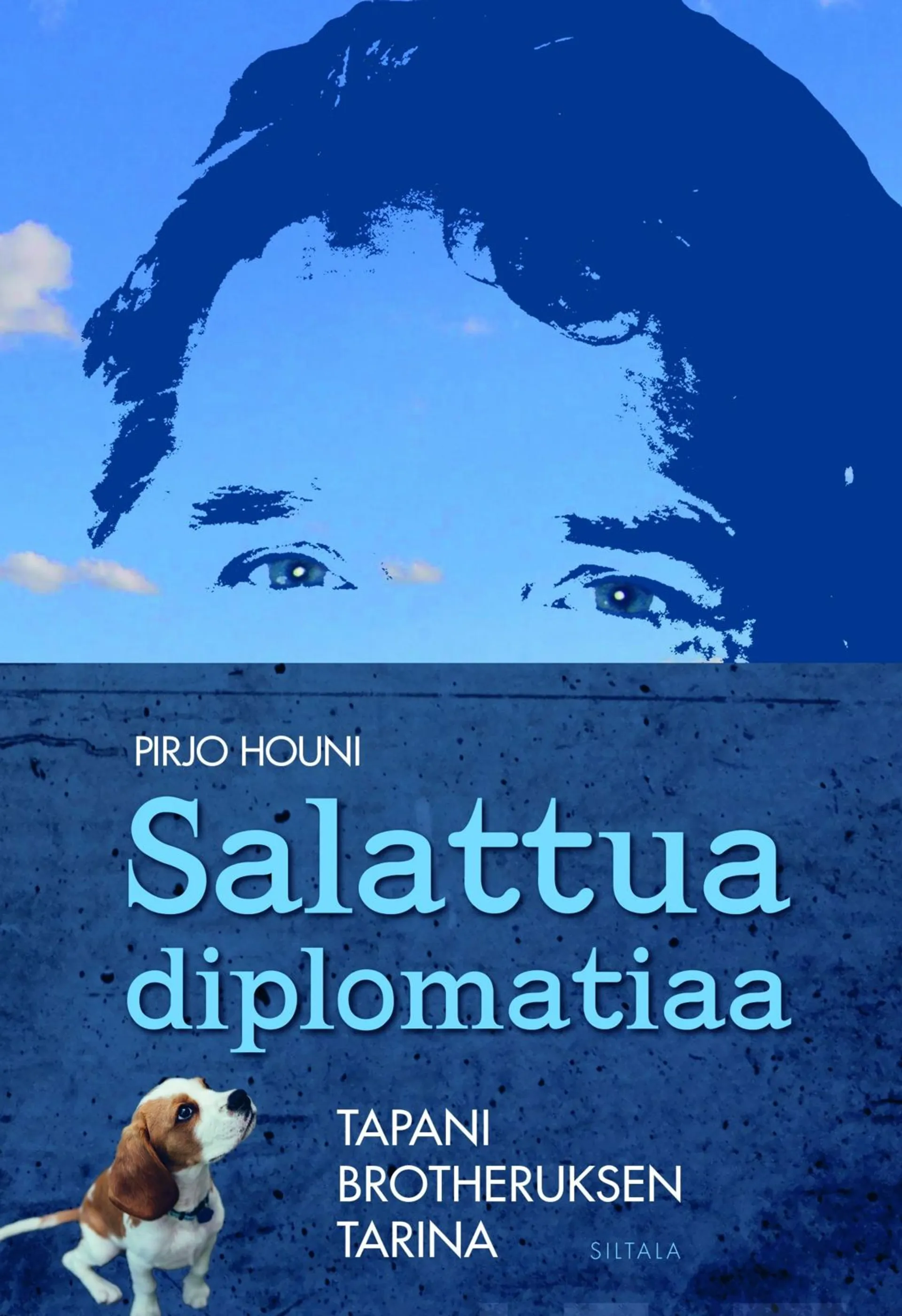 Houni, Salattua diplomatiaa - Tapani Brotheruksen tarina