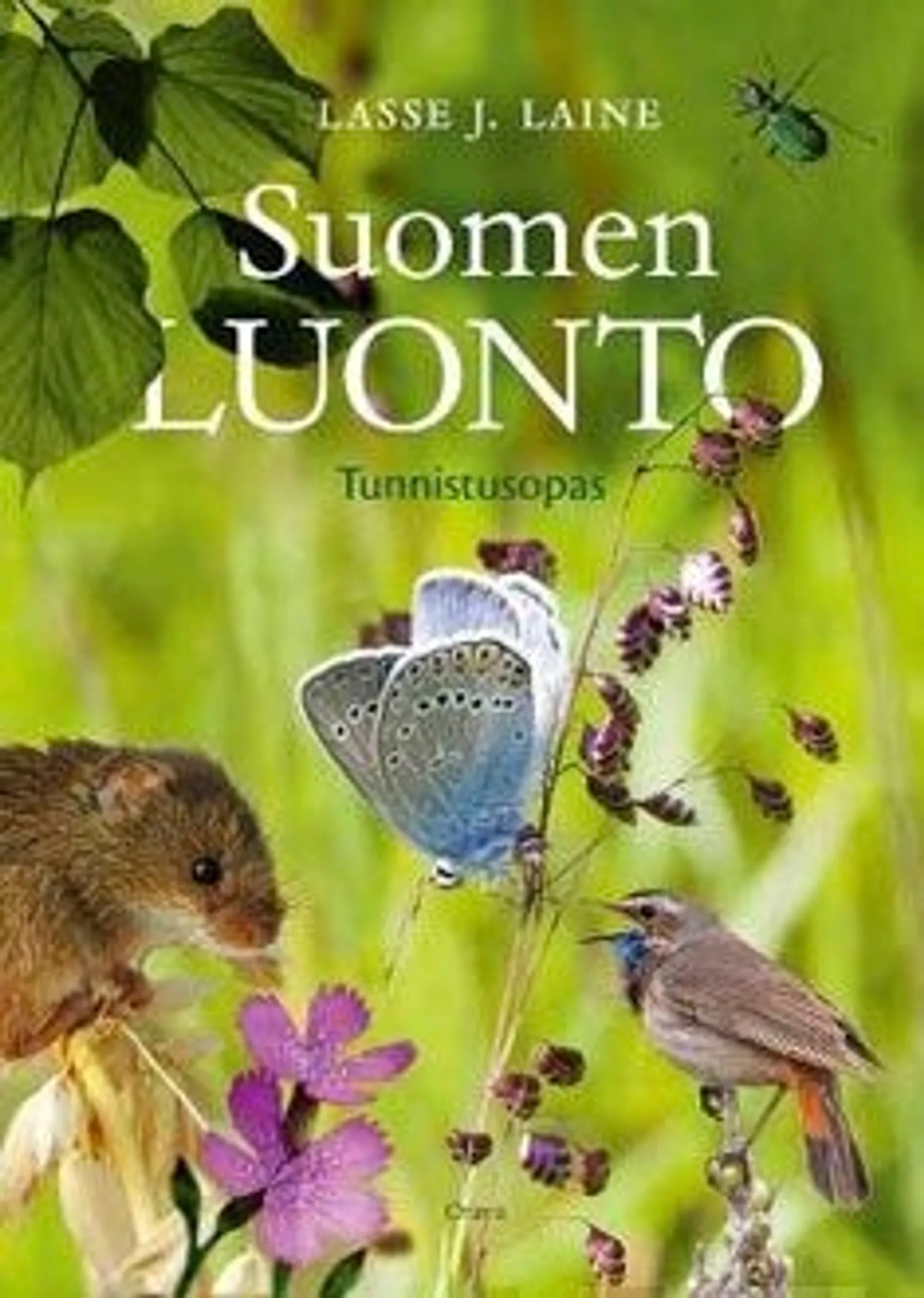 Laine, Suomen luonto - tunnistusopas