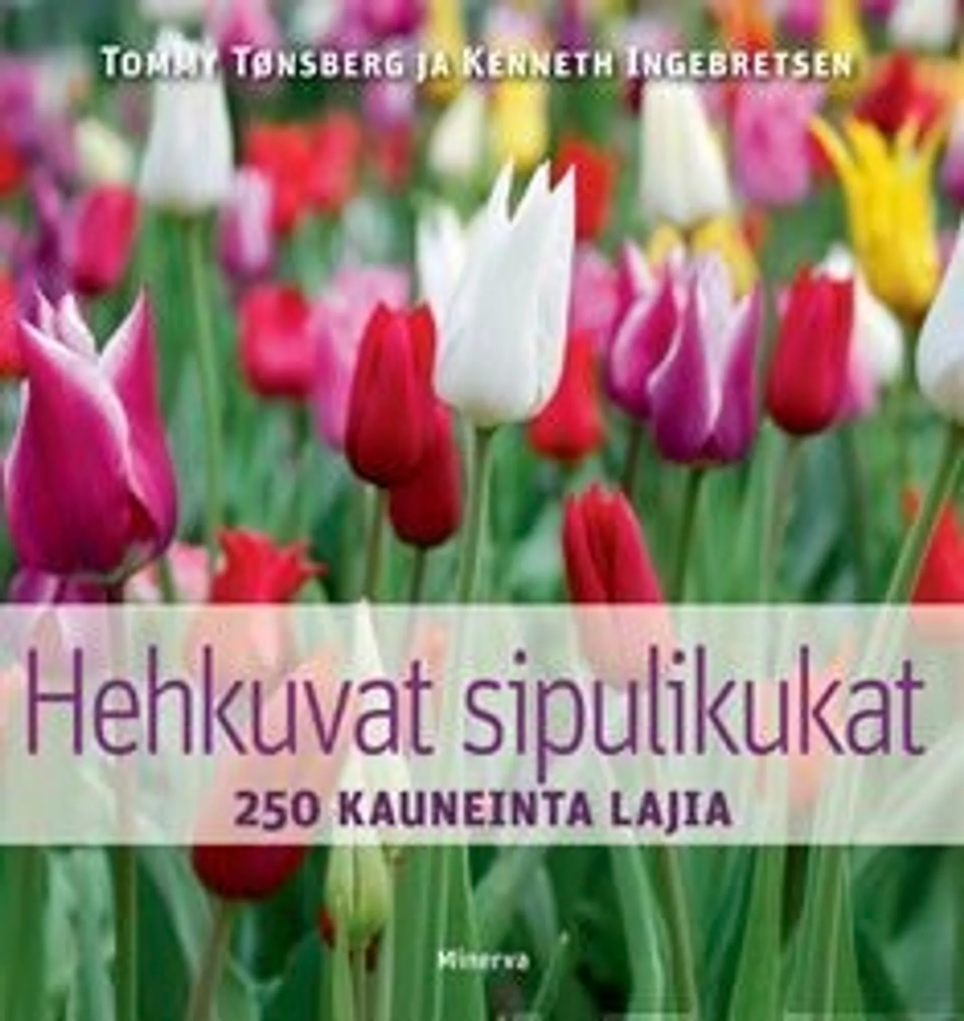 Tönsberg, Hehkuvat sipulikukat - 250 kauneinta lajia