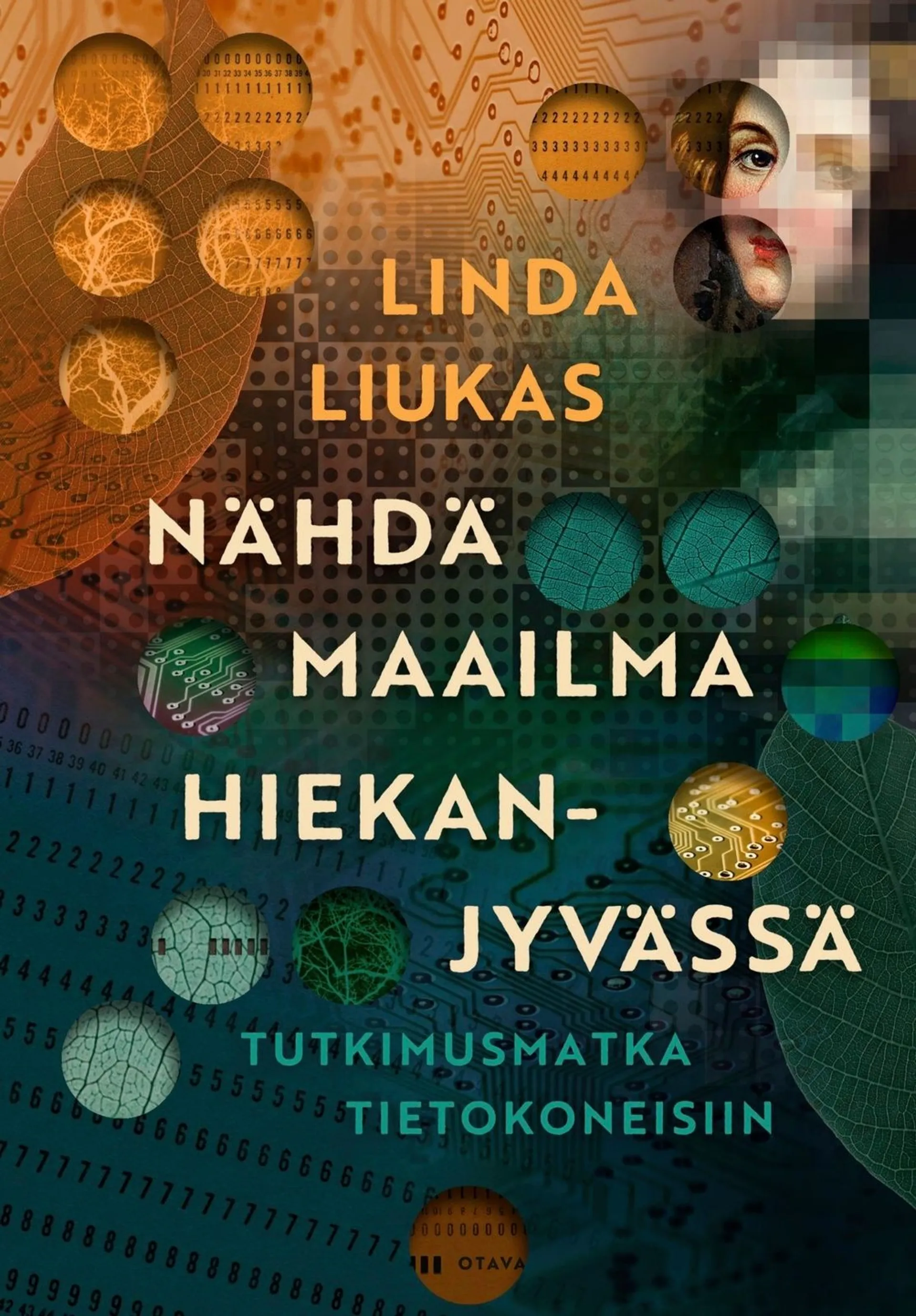 Liukas, Nähdä maailma hiekanjyvässä - Tutkimusmatka tietokoneisiin