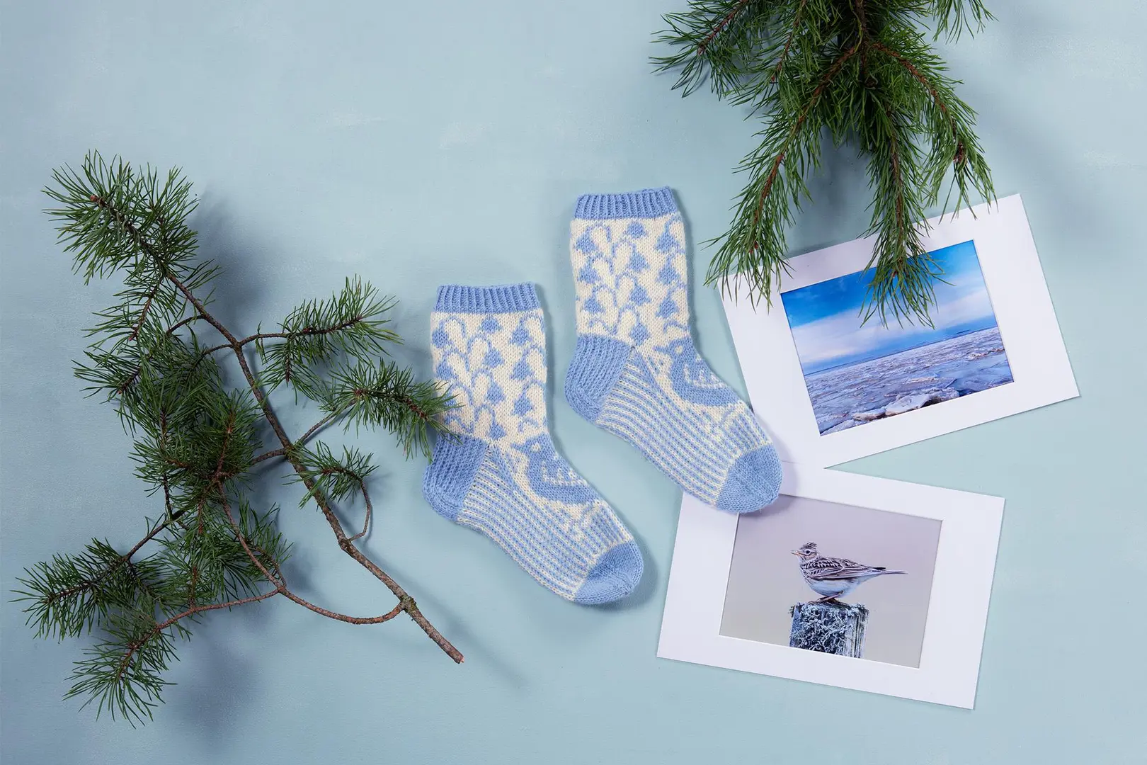 Sini-valkoiset villasukat joiden vieressä kaksi havunoksaa sekä valokuvat merimaisemasta ja linnusta
