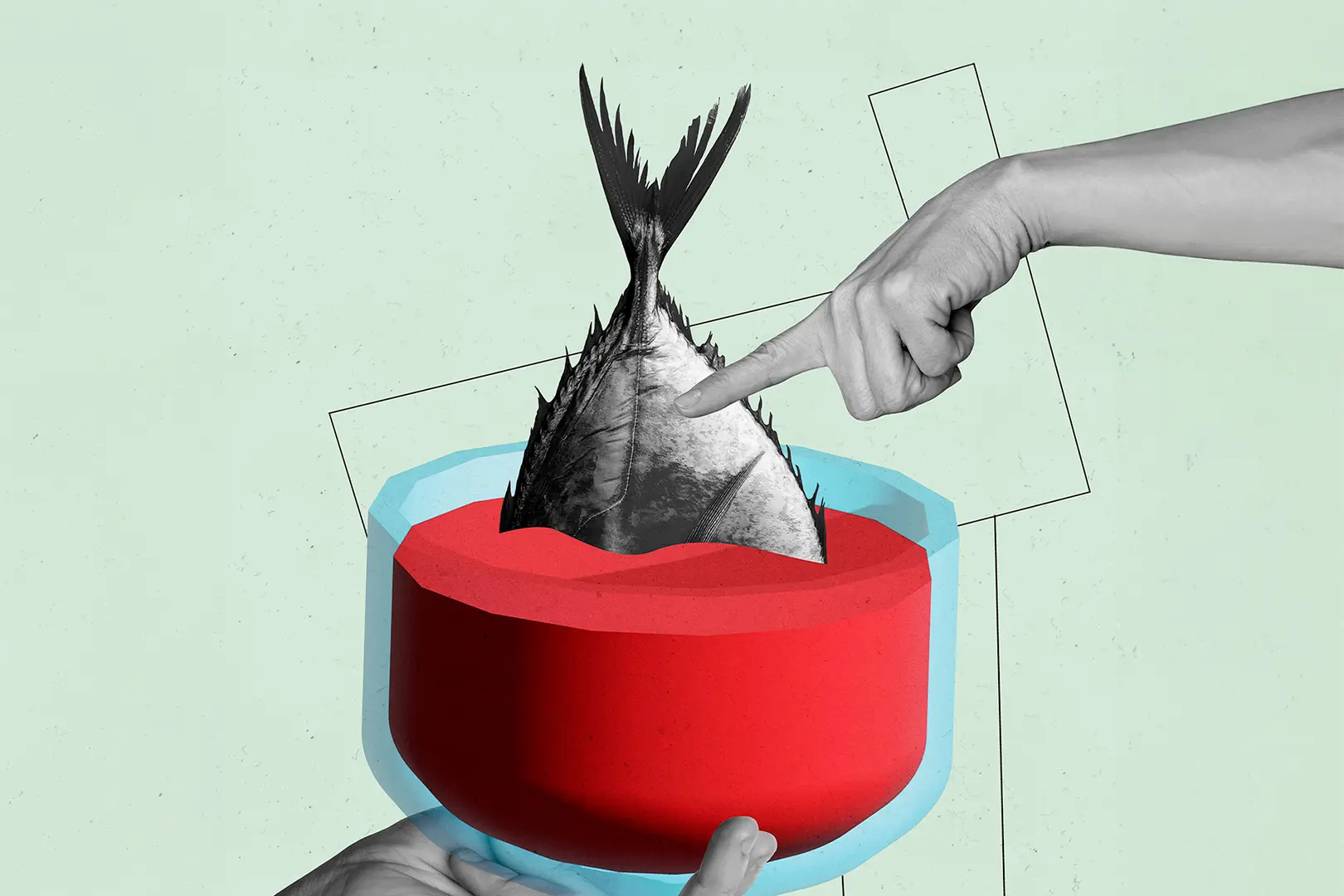 Kalanpyrstö punaisessa astiassa, sormi osoittaa sitä.