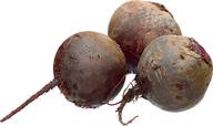 Punajuuri
