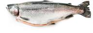 Kalaneuvos Kirjolohi tuore kokonainen palvelu n. 2 kg
