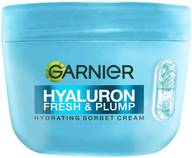 Garnier Hyaluron Fresh & Plump Hydrating Sorbet cream 85 g